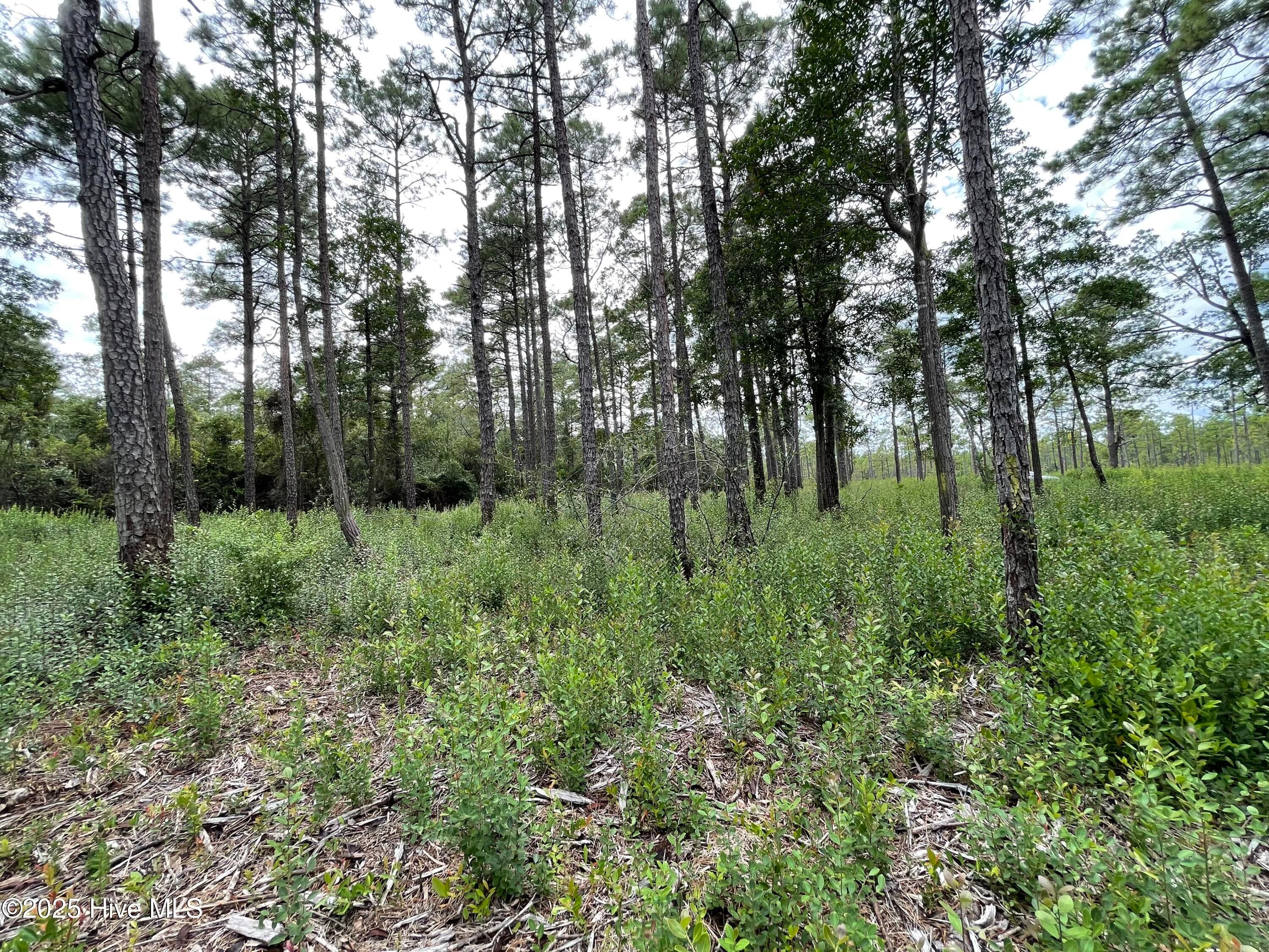 Residential Lot at 811 Brittany Road, Southport, NC 28461, photo 21 of 25