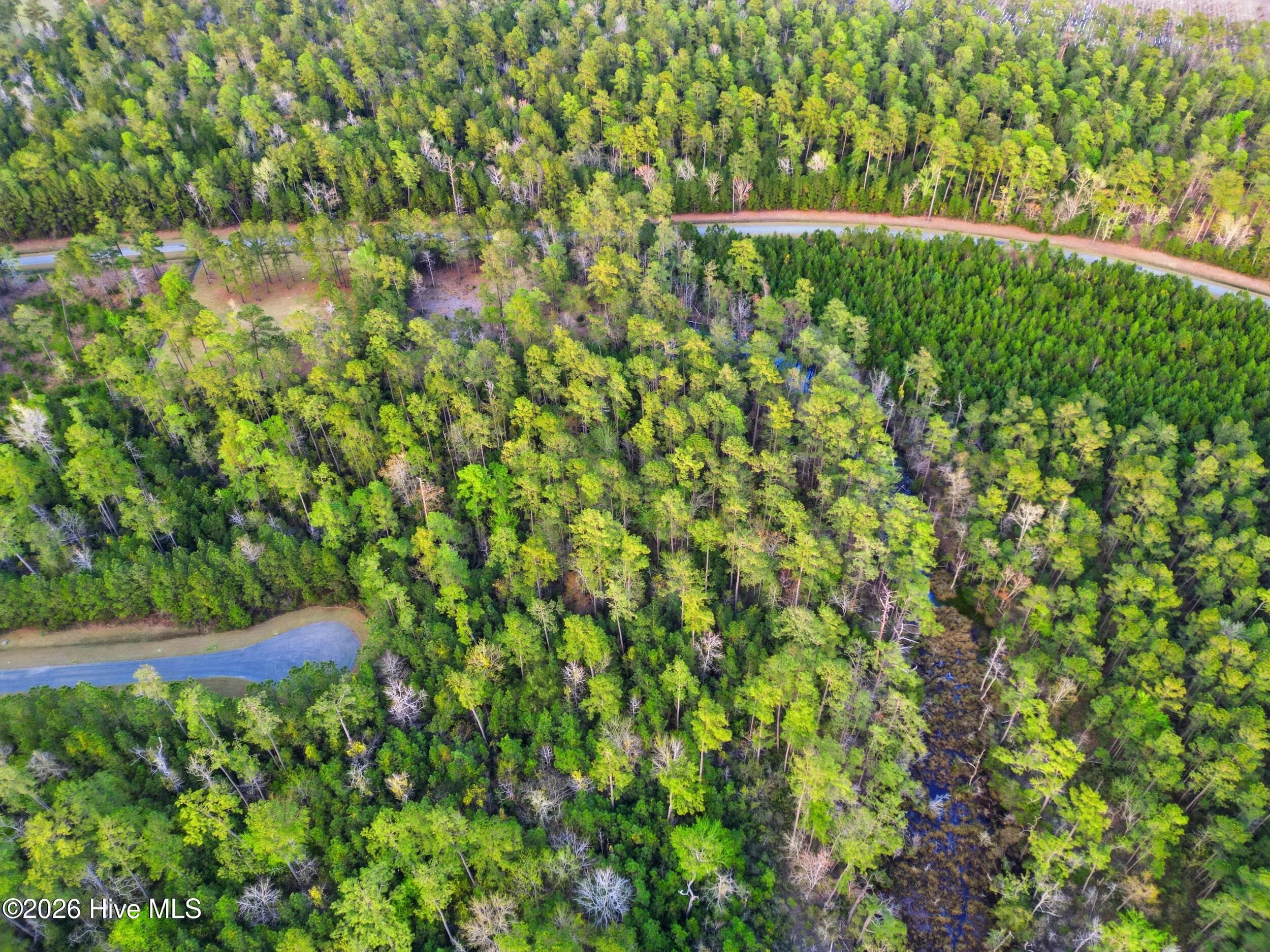 Residential Lot at 121 Mason Lane, Merritt, NC 28556, photo 7 of 13