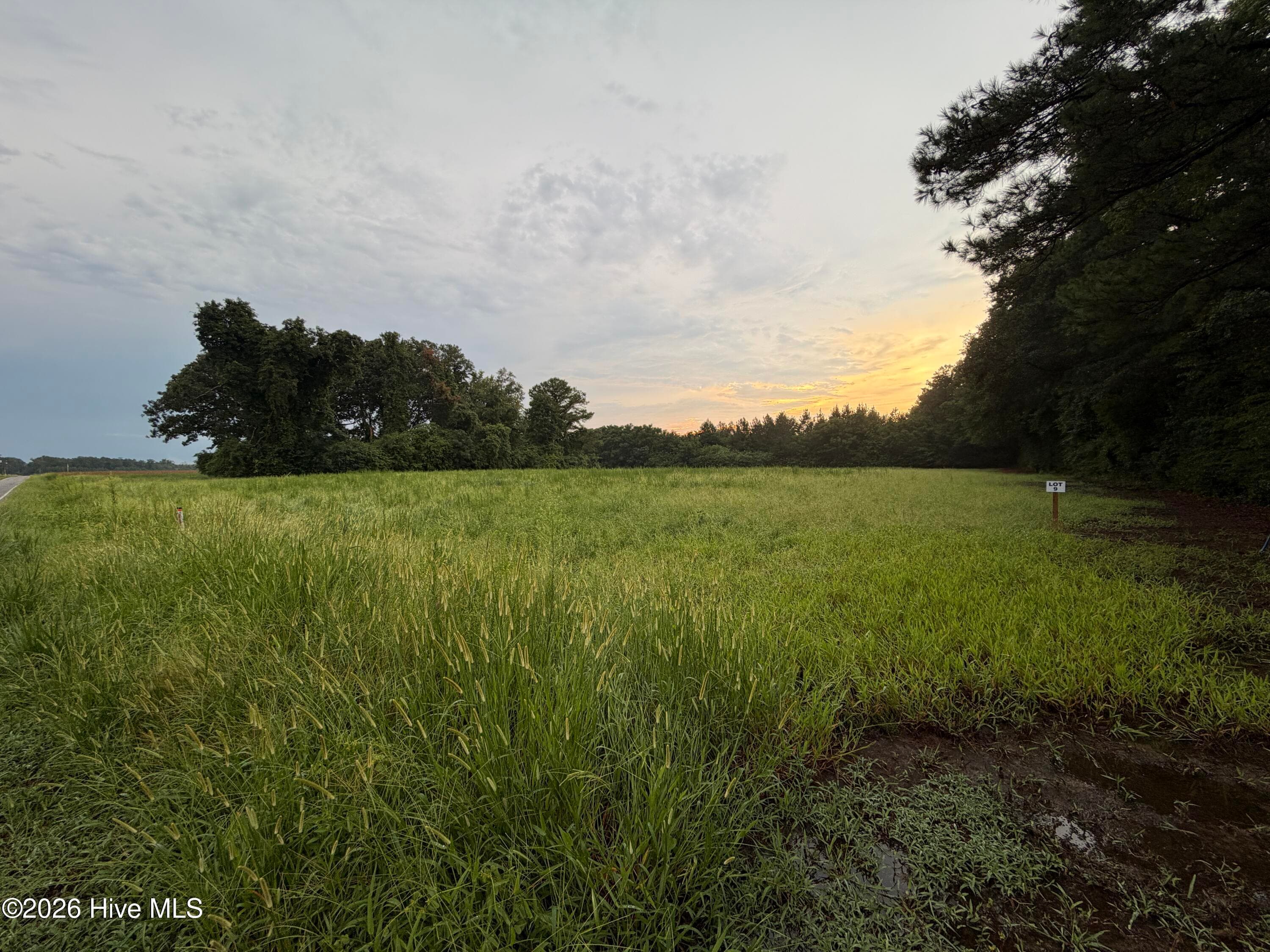 Residential Lot at Lot 9 Point Caswell Road, Willard, NC 28478, photo 7 of 12