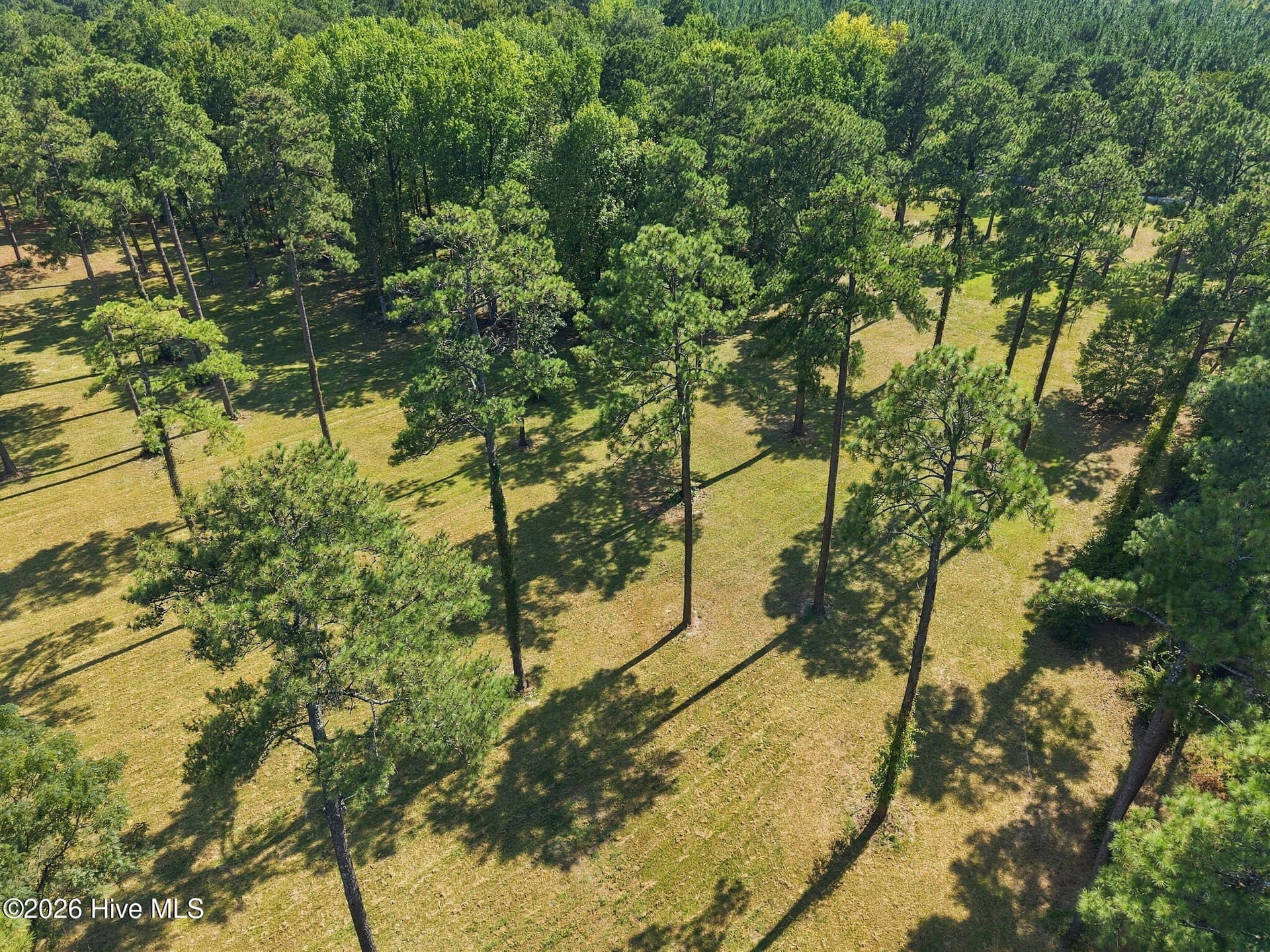 Residential Lot at Tbd Calloway Place, Southern Pines, NC 28387, photo 6 of 9