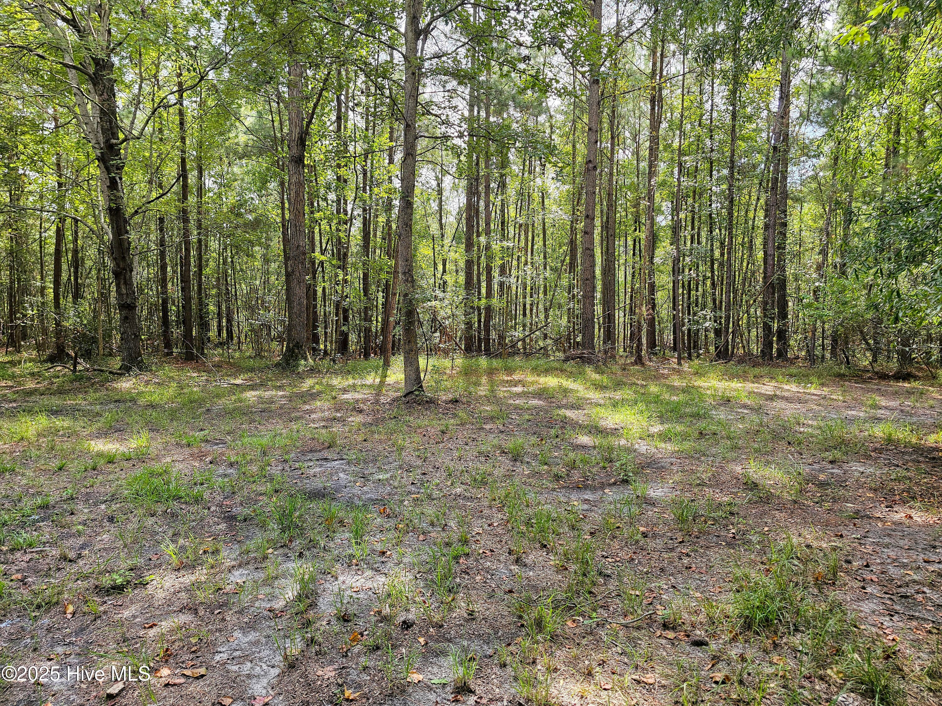 Residential Lot at Lot 77 77 Mcgowan Road, Bath, NC 27808, photo 8 of 16
