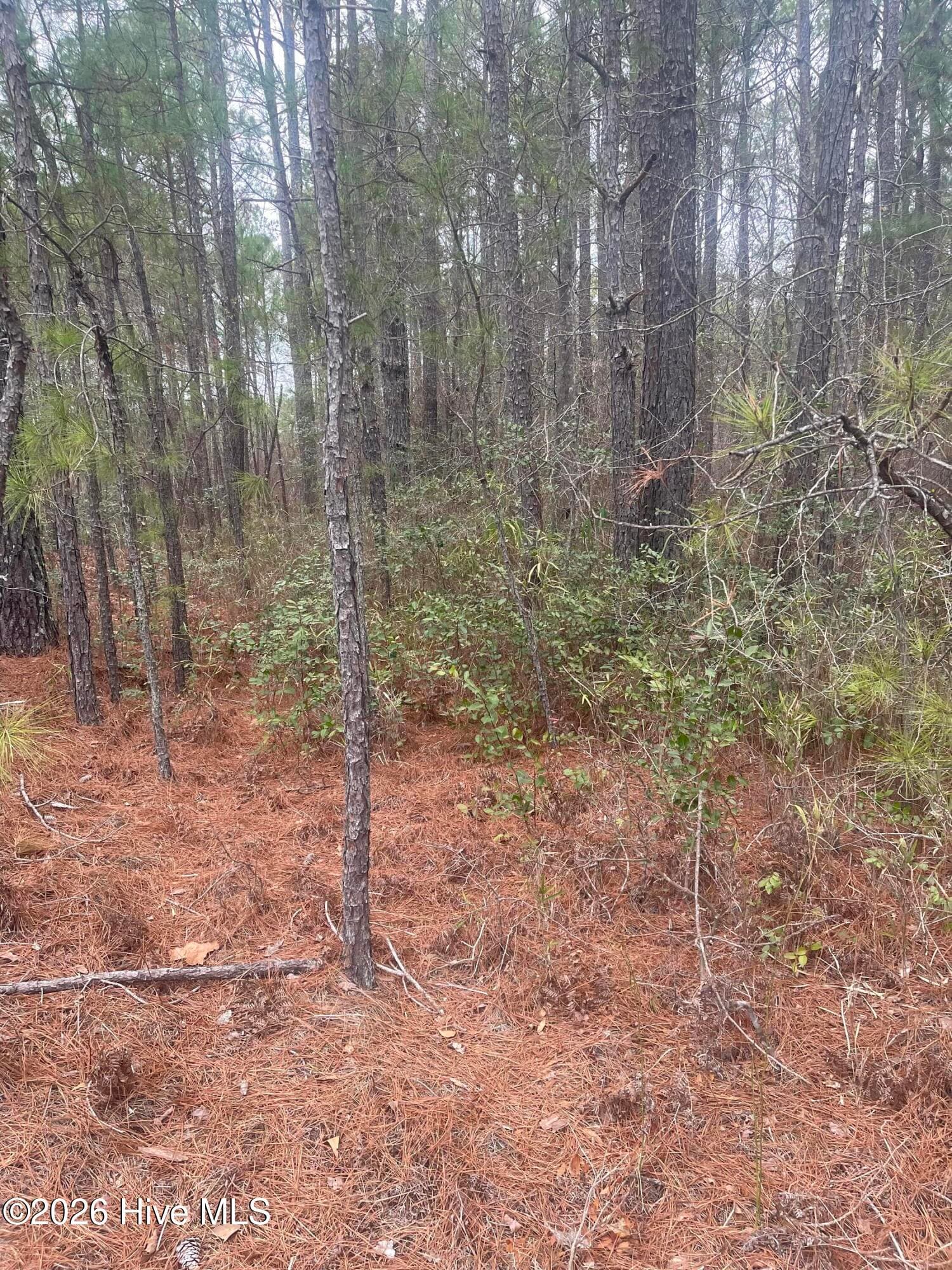Wooded at Lot 6 & 7 Bumpy Lane, Sanford, NC 27332, photo 3 of 7