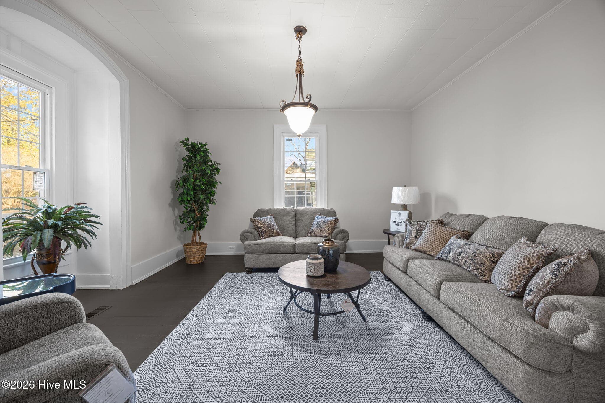 living room, bright natural light, front left - 809 Church Street, Scotland Neck, NC 27874