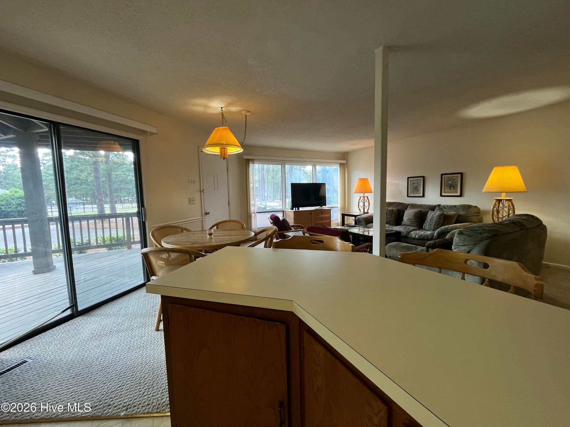 Condominium at 231 Foxkroft Drive, Jackson Springs, NC 27281, photo 9 of 20