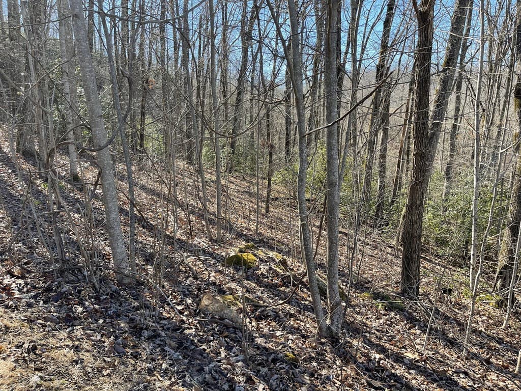 Residential Lot at Lot 34j 34J Ash Branch Road, Hayesville, NC 28904, photo 2 of 6