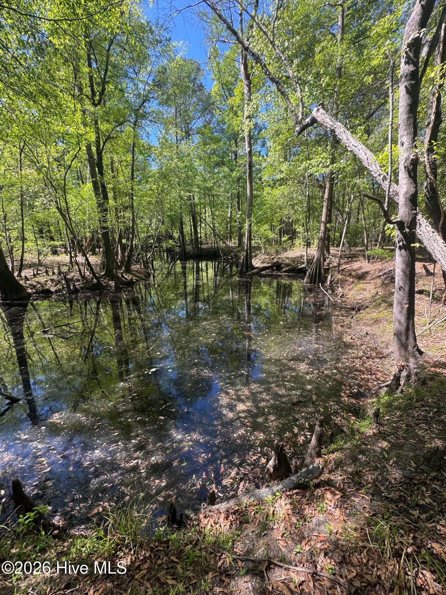 Undeveloped at 5, 6, 7 53 Off Highway, Atkinson, NC 28421, photo 4 of 12