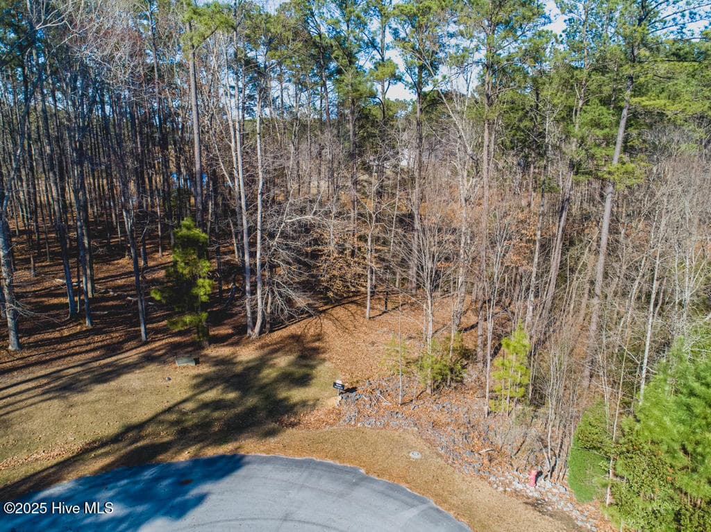 Residential Lot at 220 230 Golden Fern Lane, Minnesott Beach, NC 28510, photo 3 of 23