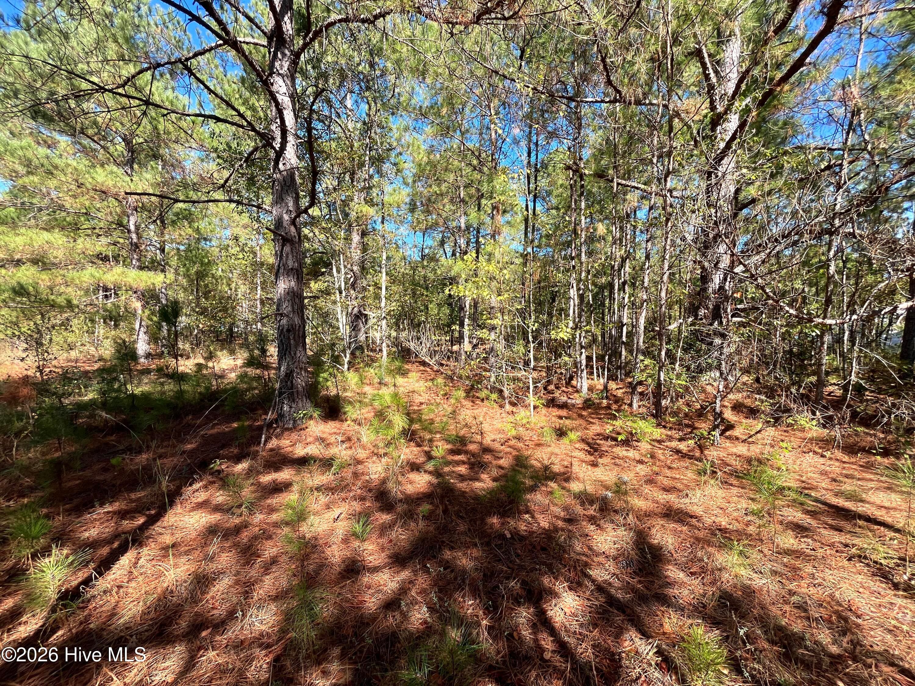 Residential Lot at Lot 9 Jasper Davis Road, Avera, GA 30803, photo 8 of 21