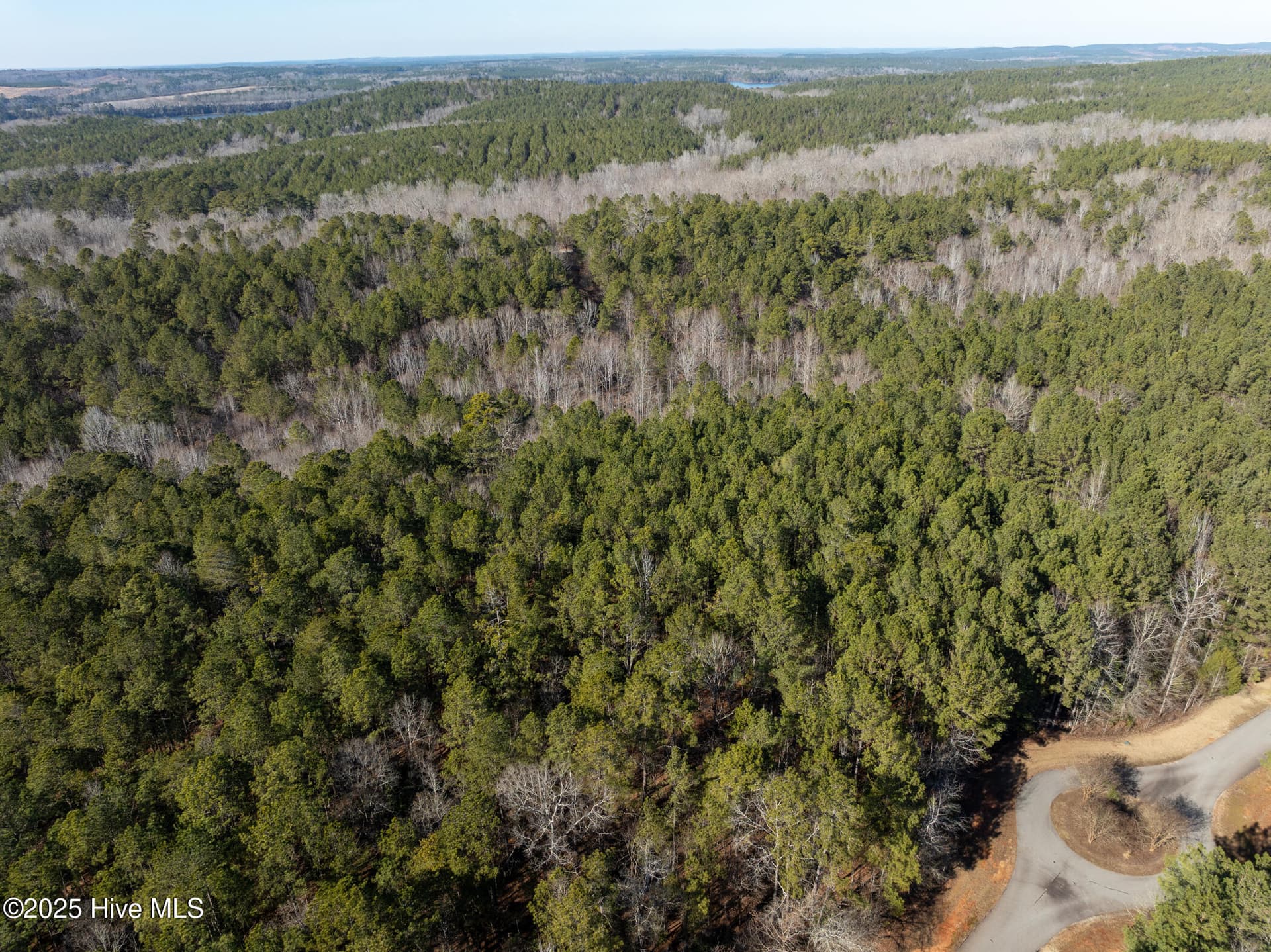 Residential Lot at 141 N State Lane, Rockingham, NC 28379, photo 6 of 17