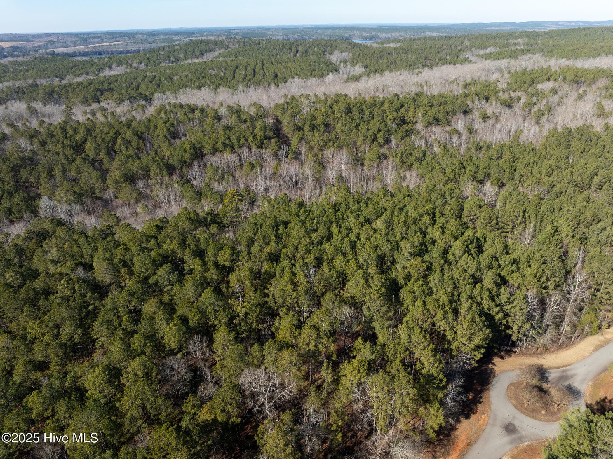 Residential Lot at 141 N State Lane, Rockingham, NC 28379, photo 6 of 17