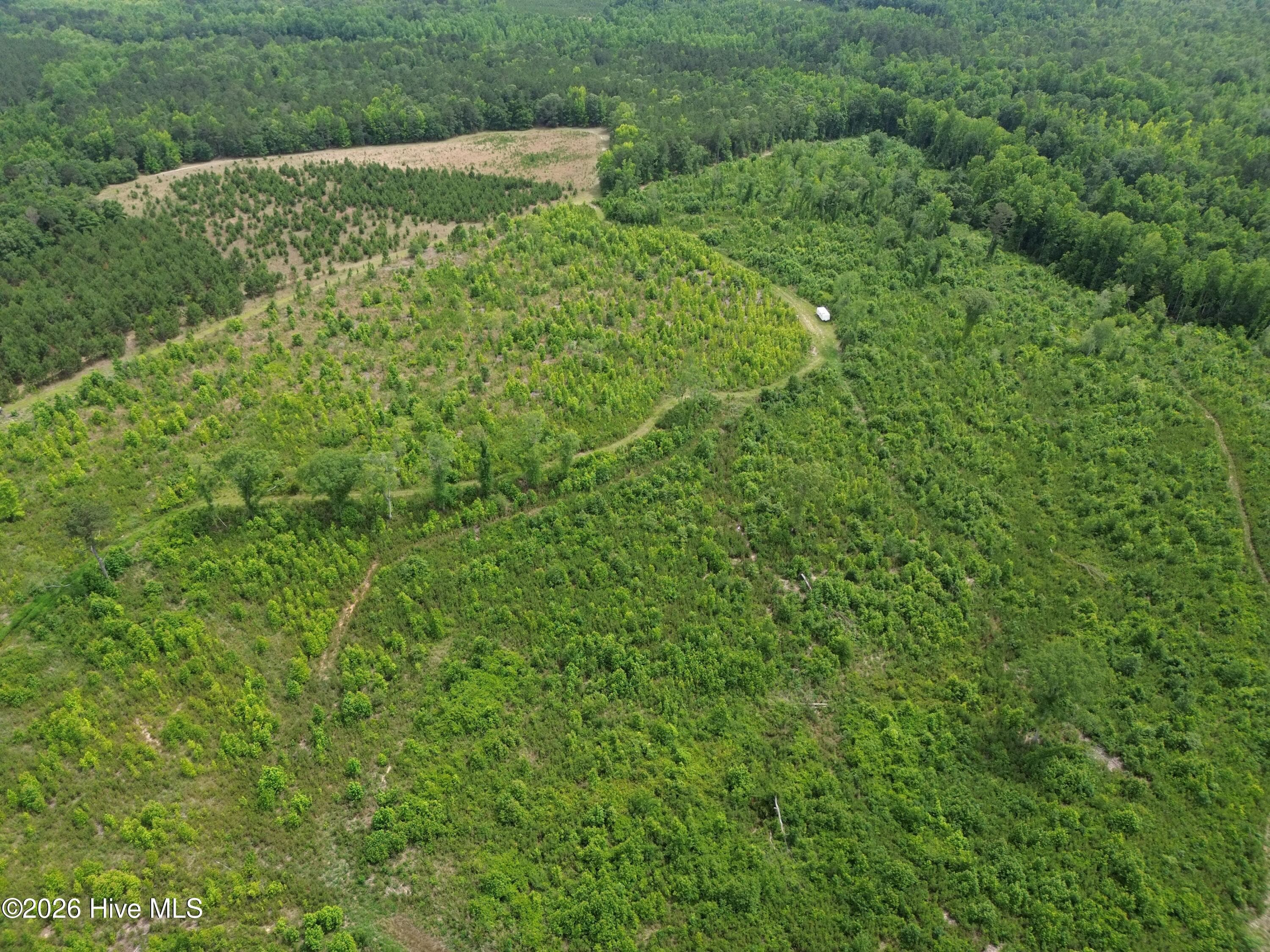 Undeveloped at 0 Pughsley Road, Stapleton, GA 30823, photo 3 of 13