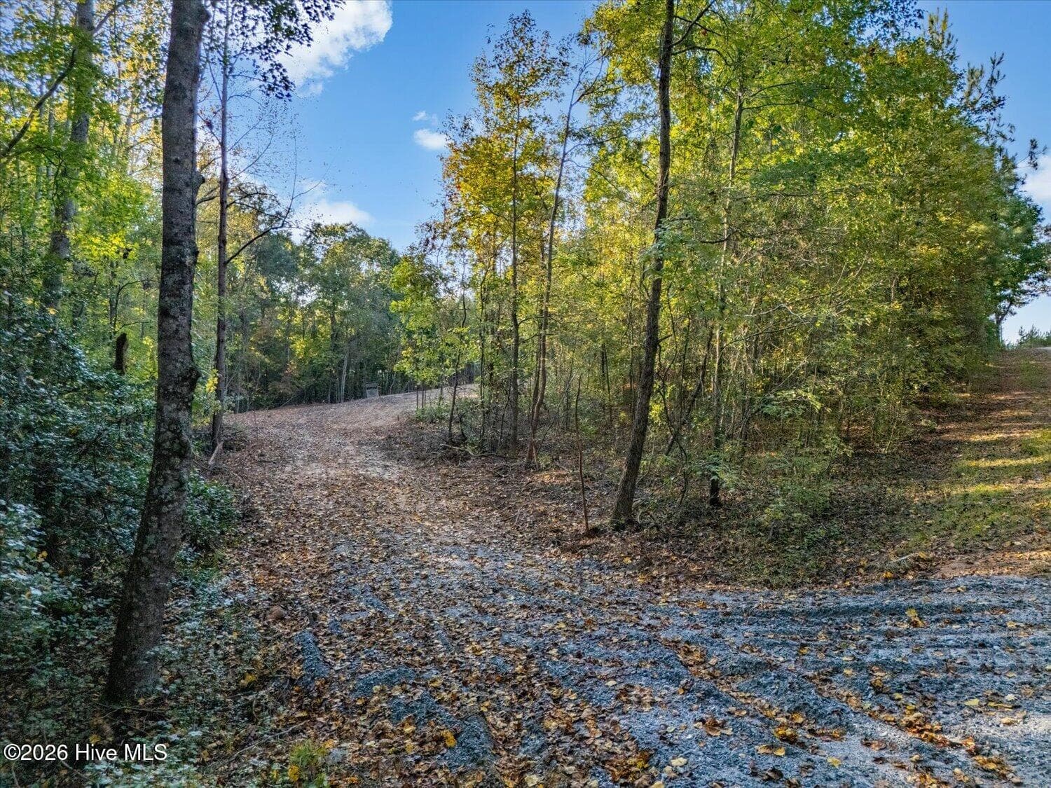 Residential Lot at 2 Austin Road, Belton, SC 29627, photo 5 of 10