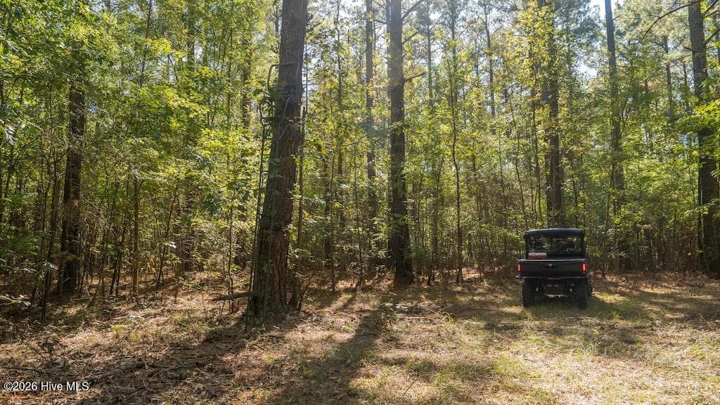 Mixed Use at 0 Spring Hill Road, Scotland Neck, NC 27874, photo 39 of 93