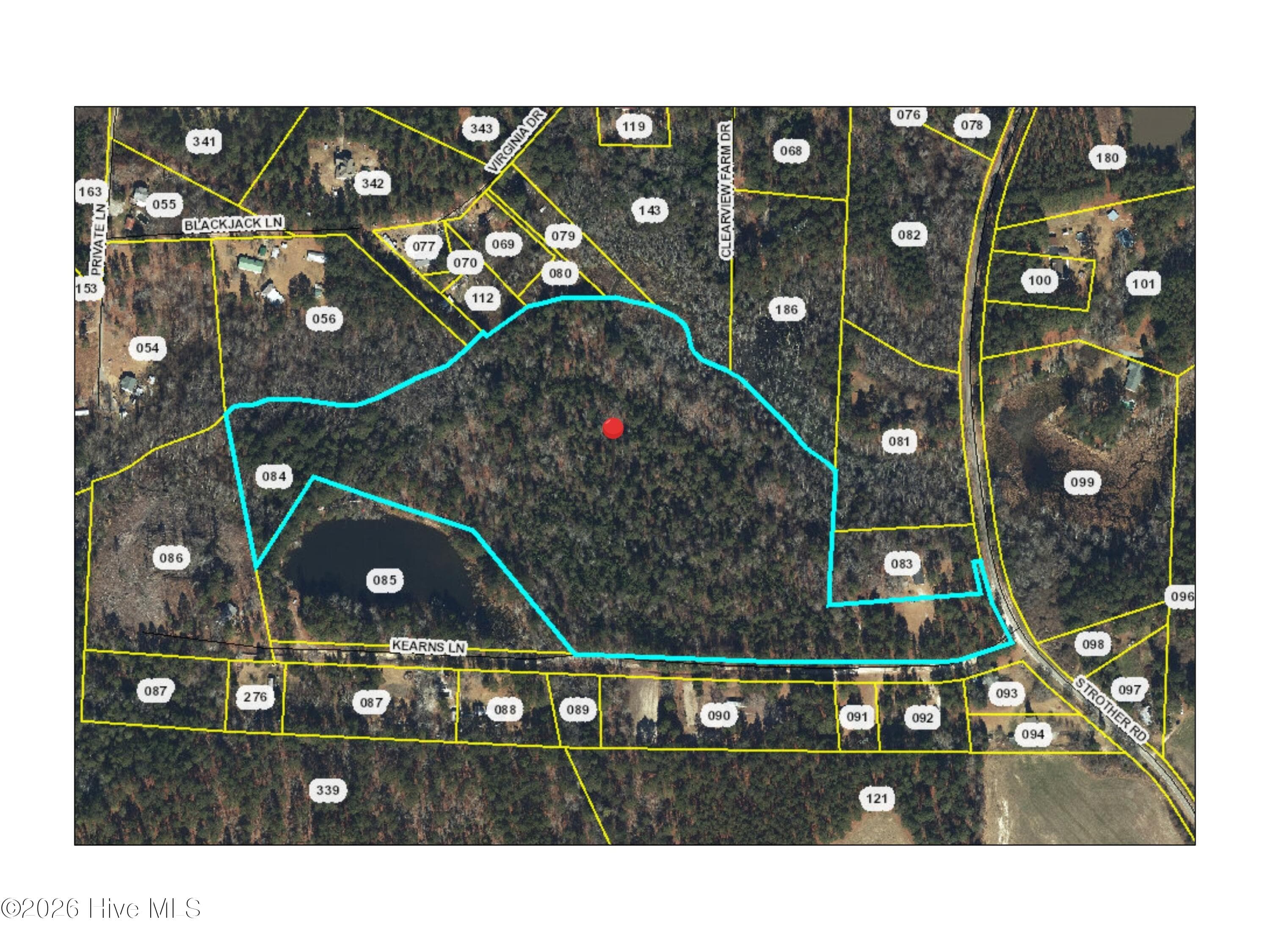 County GIS map of the parcel outline between Strother Rd and Kearns Ln. The pond on the map is on the neighboring parcel, not this land. Lines approximate; buyers should verify. - 00-00 Strother Road, Aberdeen, NC 28315