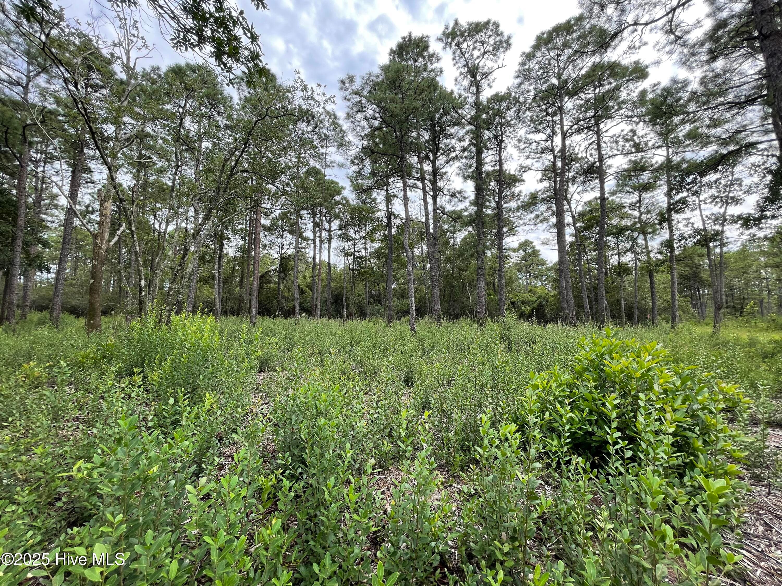 Residential Lot at 811 Brittany Road, Southport, NC 28461, photo 10 of 25