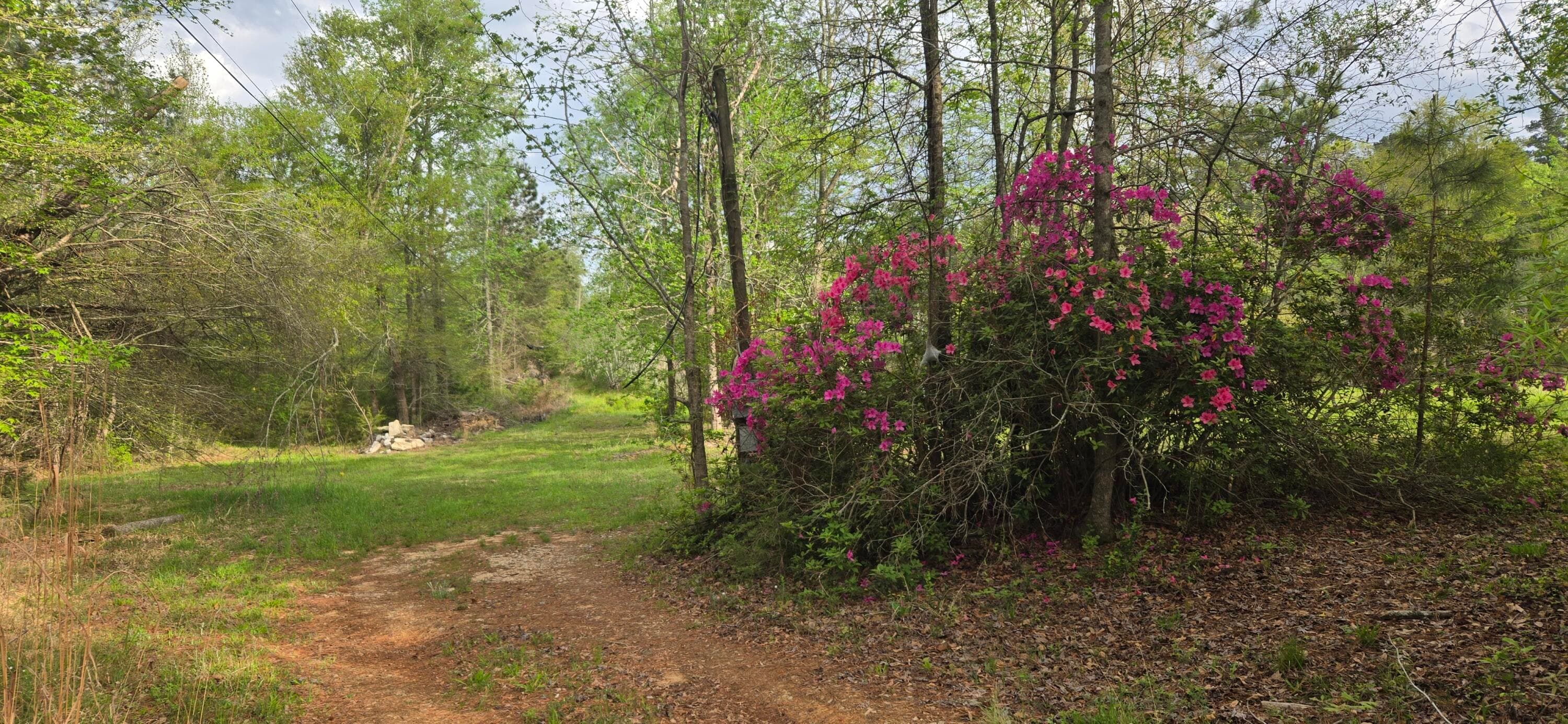 Undeveloped at 0 Mcgahee Road, Evans, GA 30809, photo 4 of 7