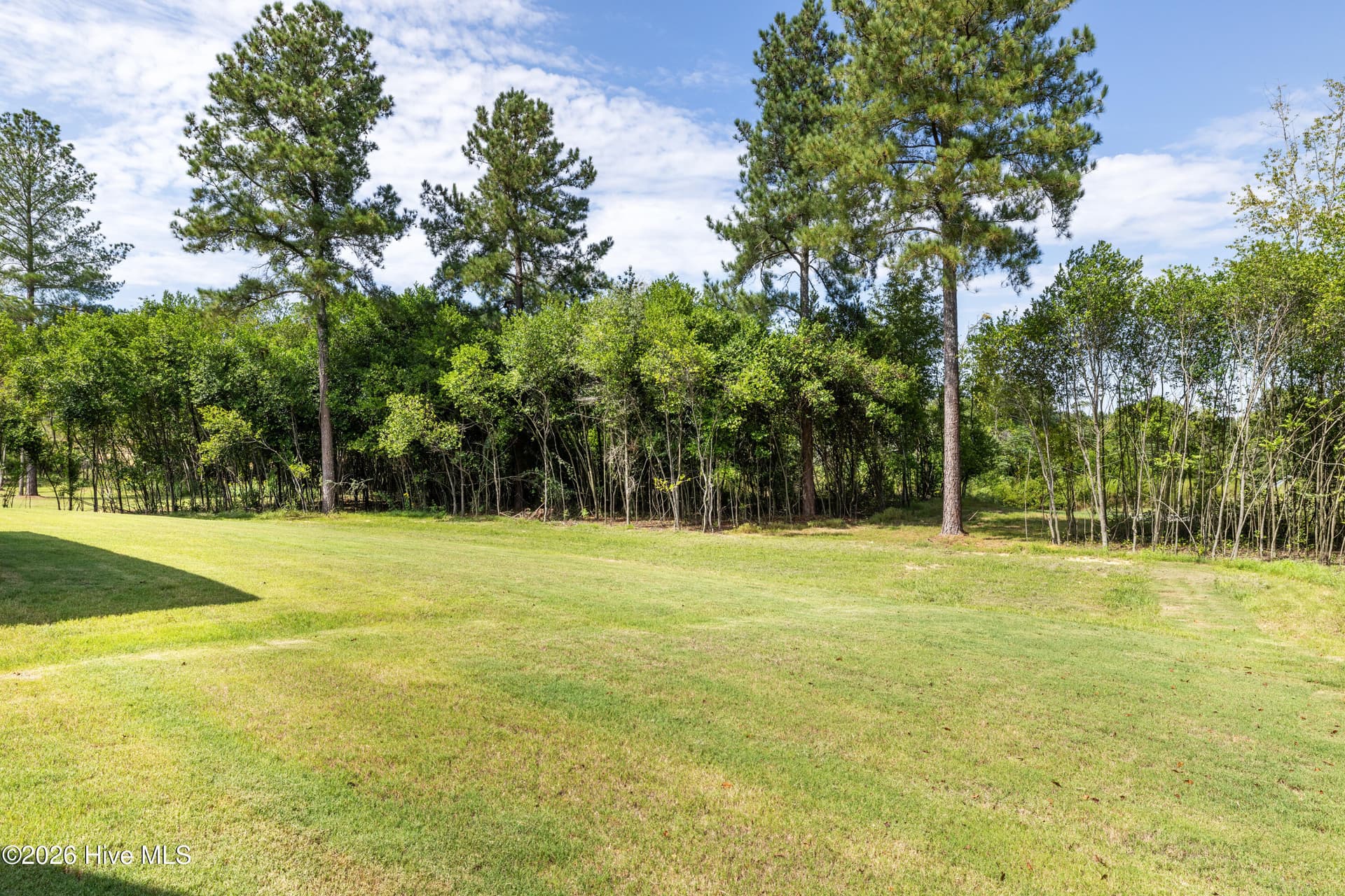 Mature trees! - 1200 Bellingham Drive, Beech Island, SC 29842