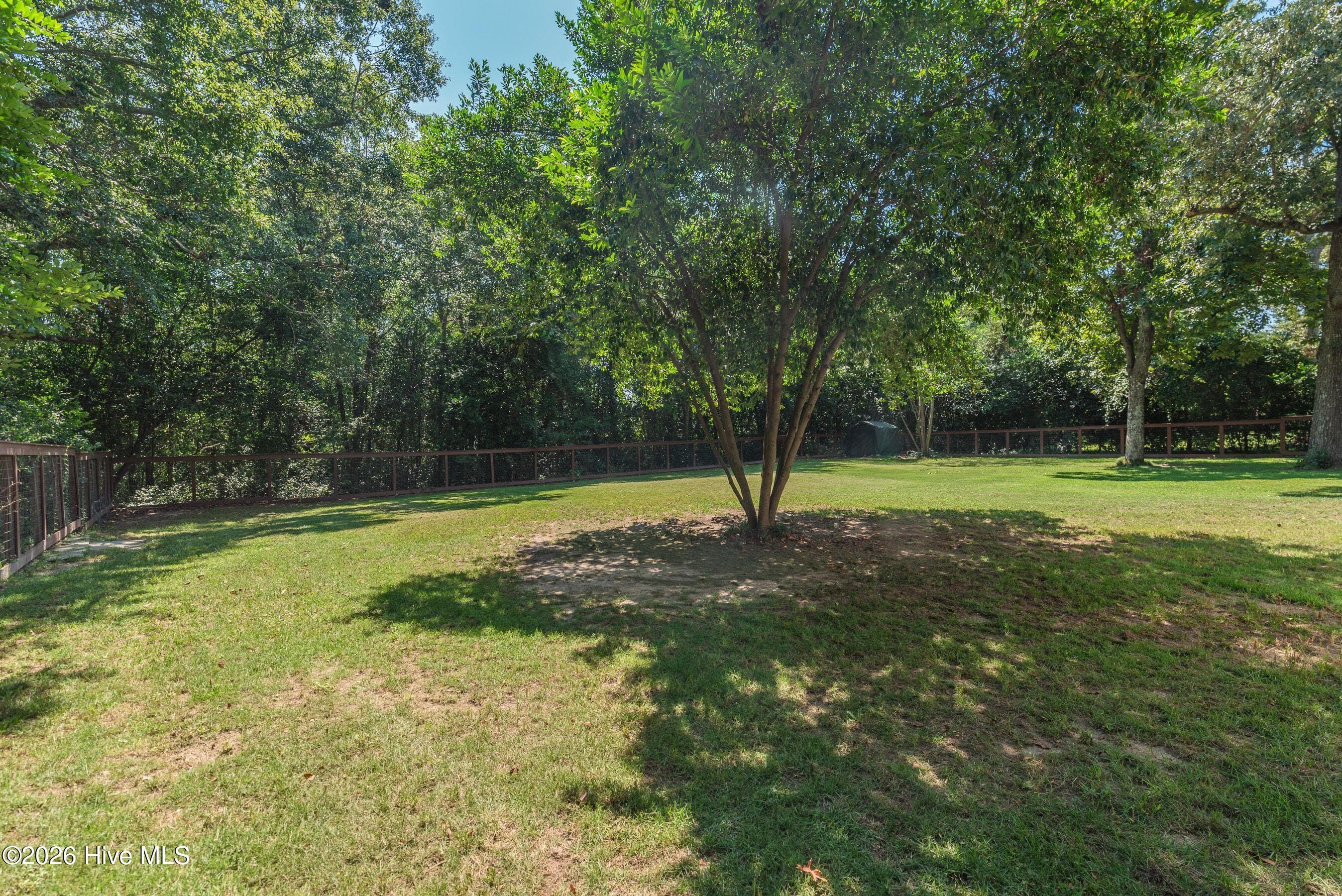 Backyard - 210 Dunbarton Circle SE, Aiken, SC 29803
