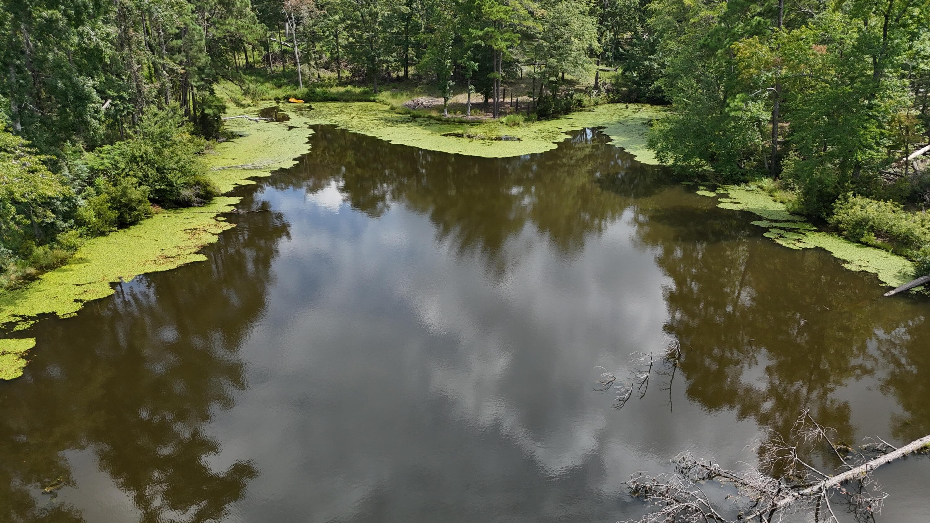 Residential Lot at 0 Hummingbird Drive, Trenton, SC 29847, photo 4 of 14