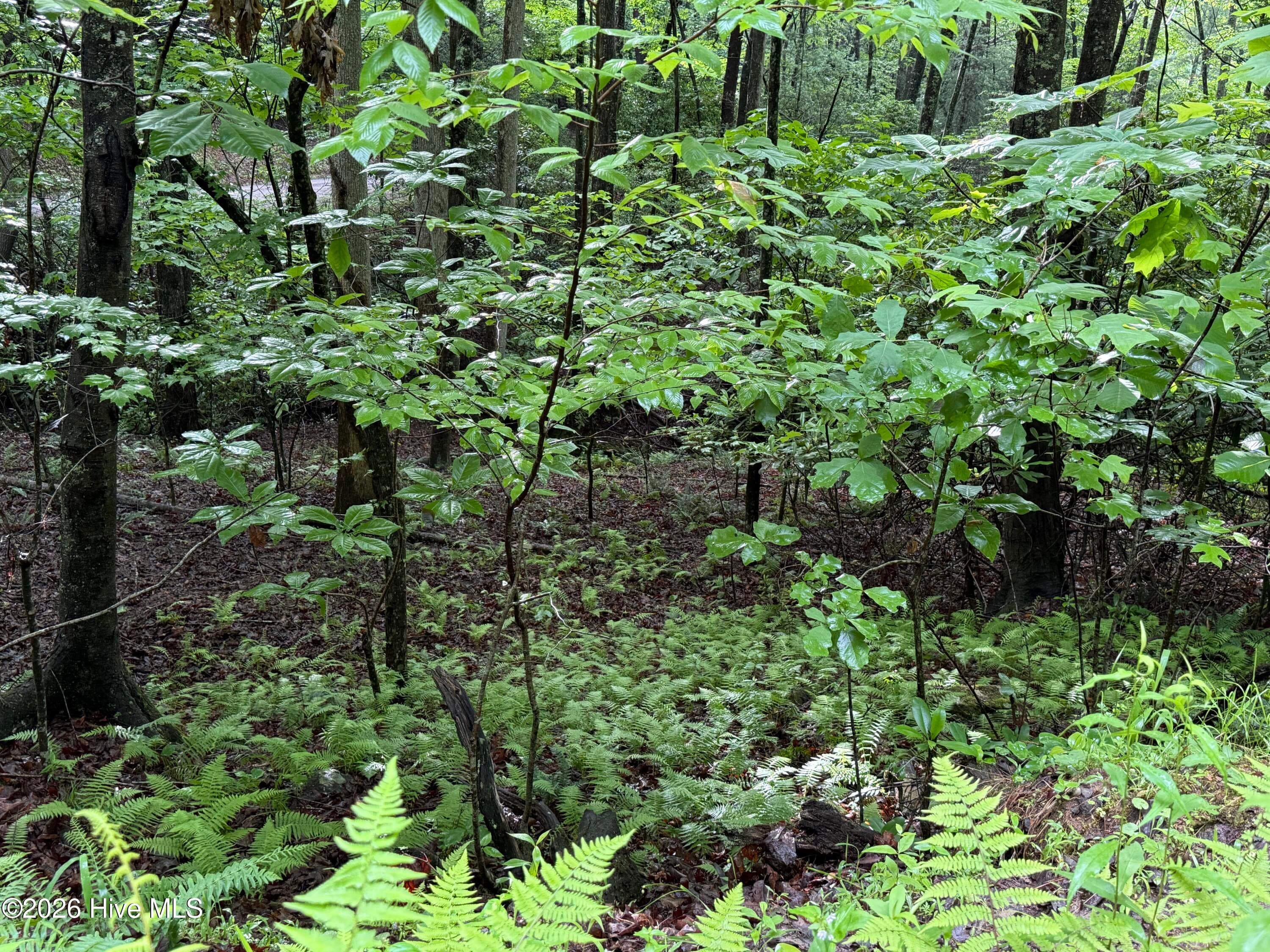 Residential Lot at Lot 28 Atoah Loop, Murphy, NC 28906, photo 10 of 15