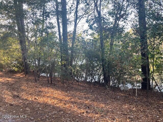 Wooded at 408 Lot 4, Block F, Lake Pines Drive, La Grange, NC 28551, photo 5 of 12