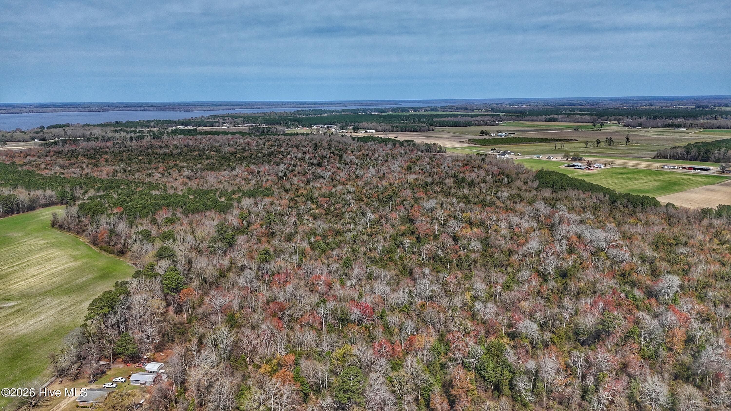 Wooded at 1612 Rocky Hock Landing Road, Edenton, NC 27932, photo 31 of 45