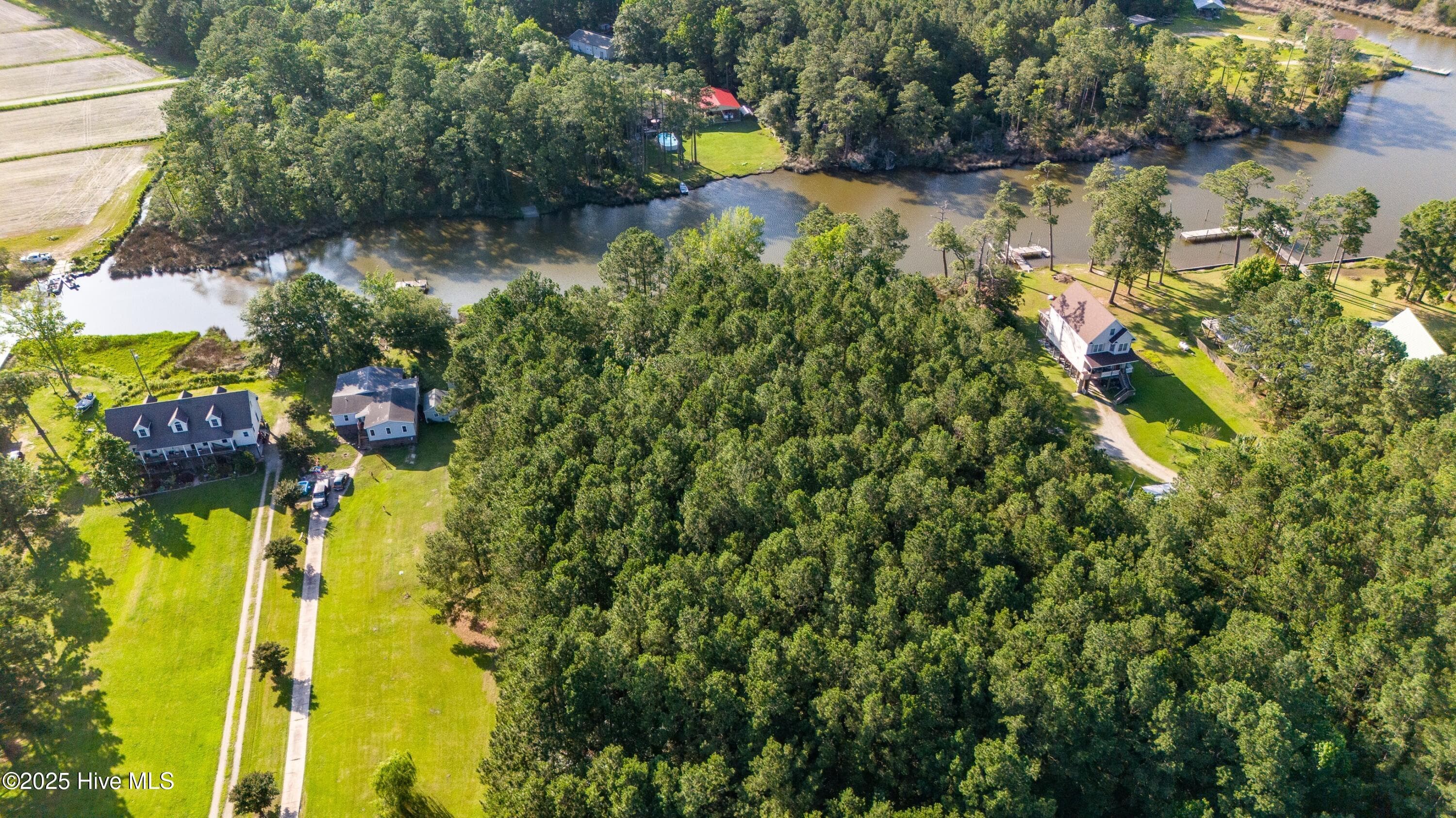 Wooded at 7367 3 Florence Road, Merritt, NC 28556, photo 11 of 12