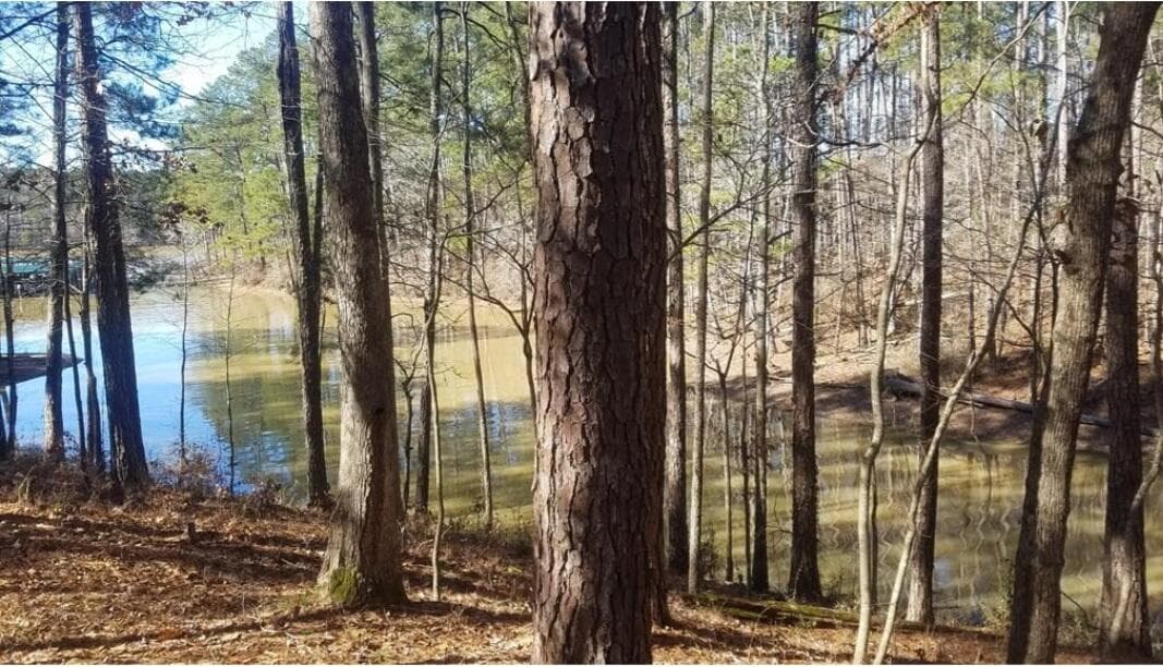 Residential Lot at L26 Bereau Drive, McCormick, SC 29835, photo 6 of 11