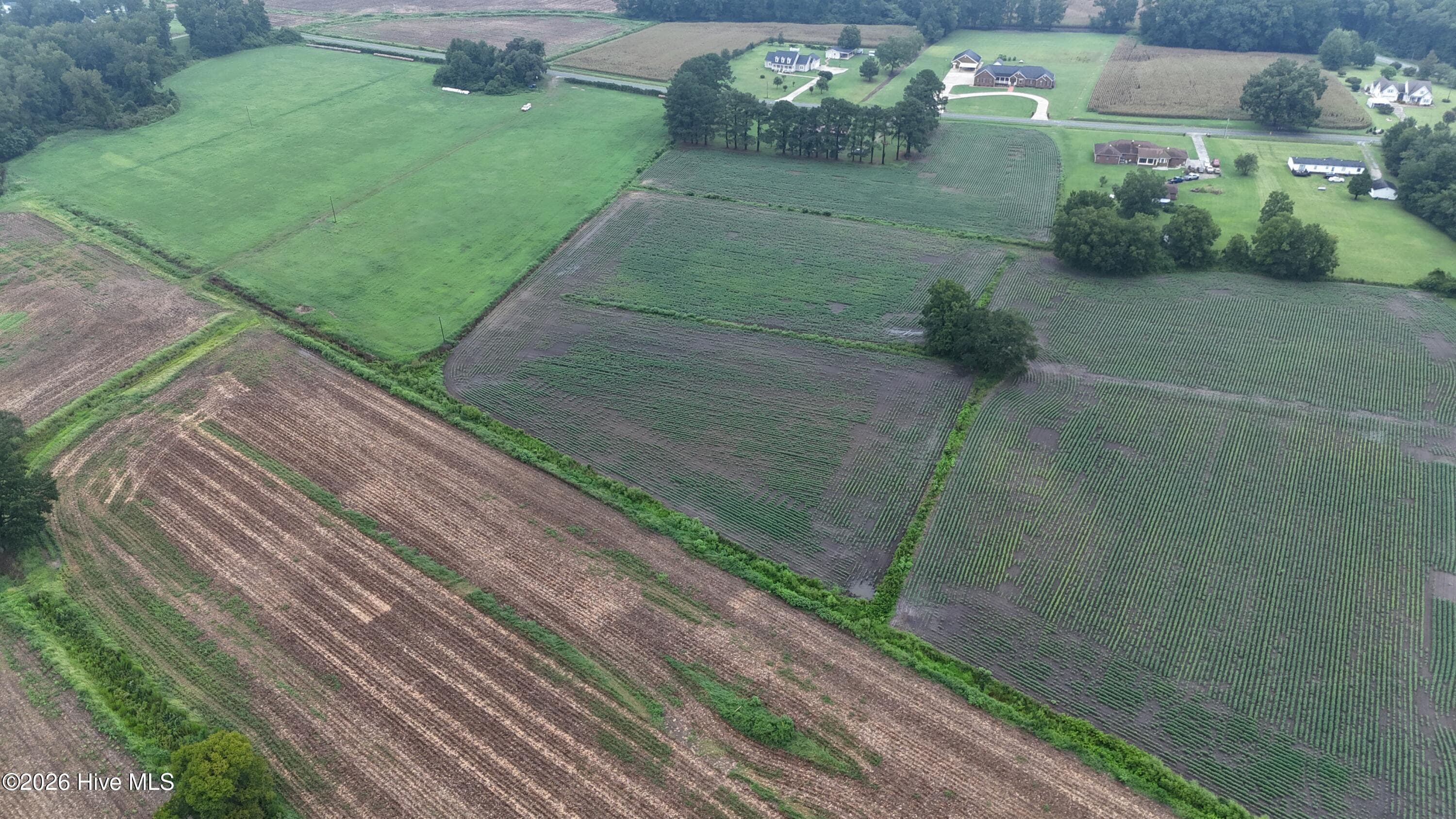 Agriculture at Near 128 Bay Rd., Rose Hill, NC 28458, photo 4 of 21