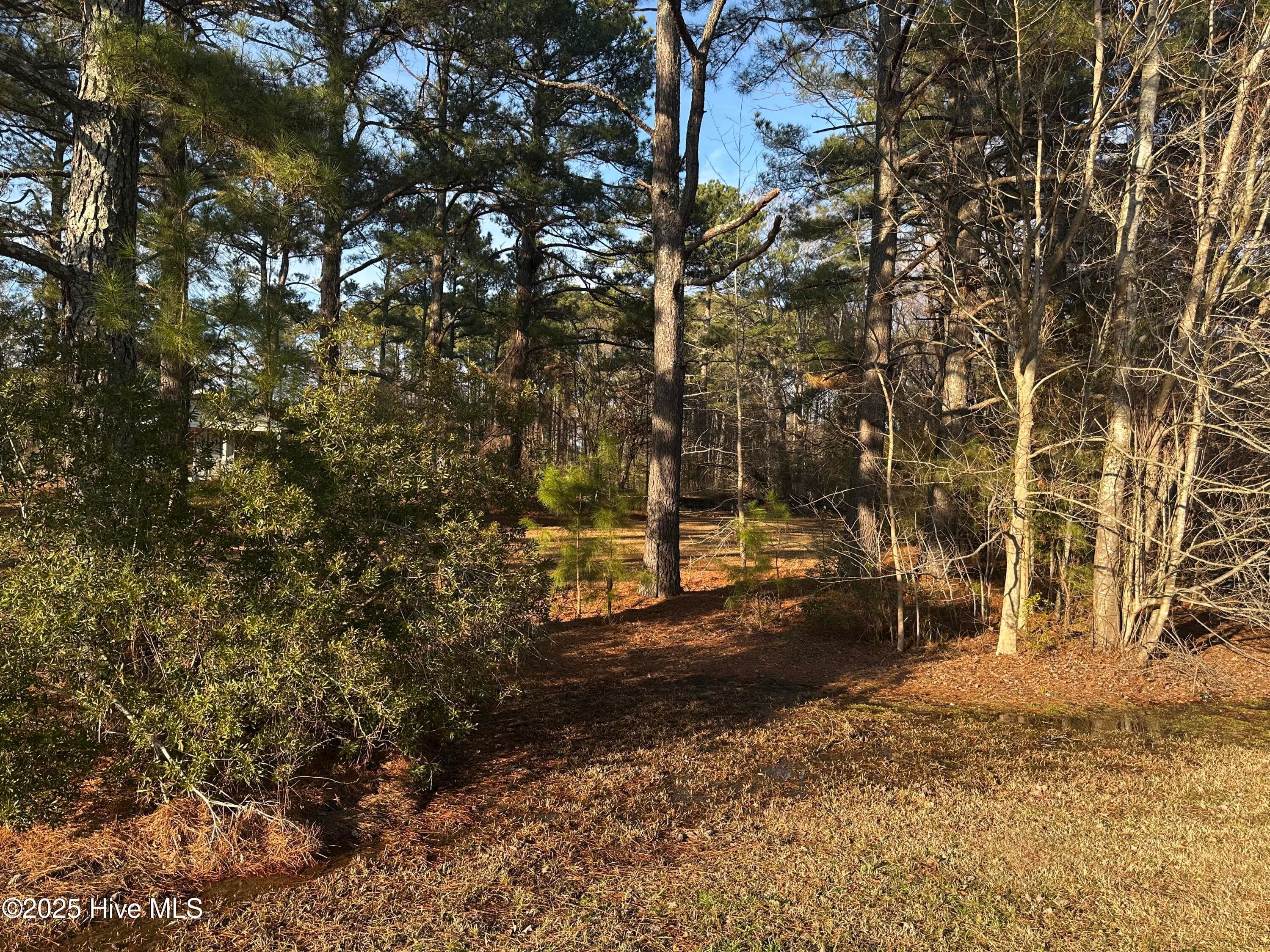 1152 Freer Drive, Rocky Mount, NC 27804