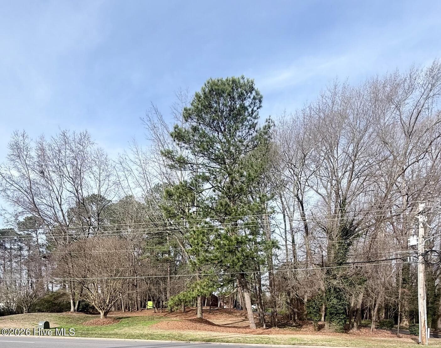 Undeveloped at 0 Forest Hills Road NW, Wilson, NC 27896, photo 4 of 4