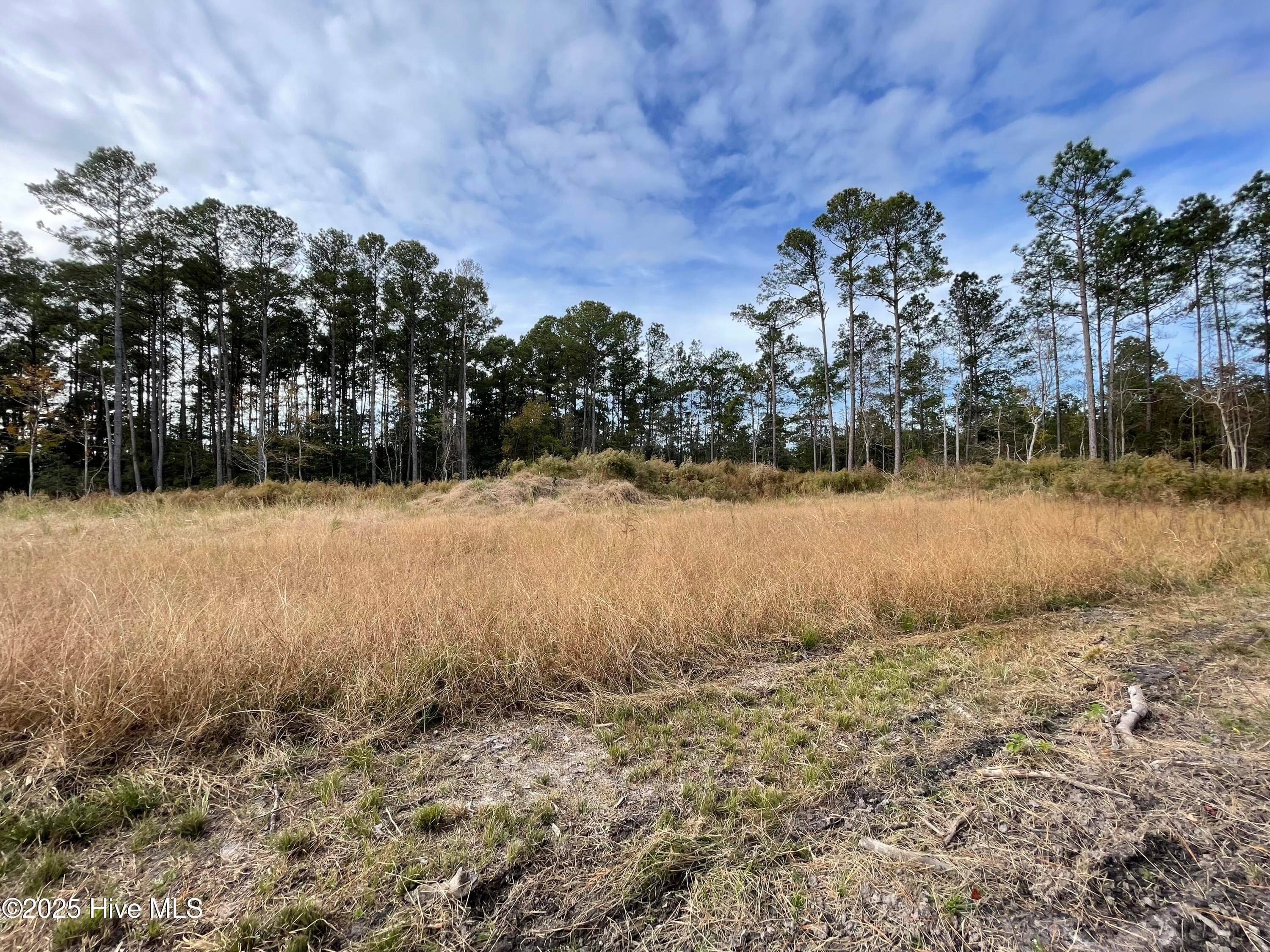Commercial Property - 3090 Southport Supply Road SE, Bolivia, NC 28422