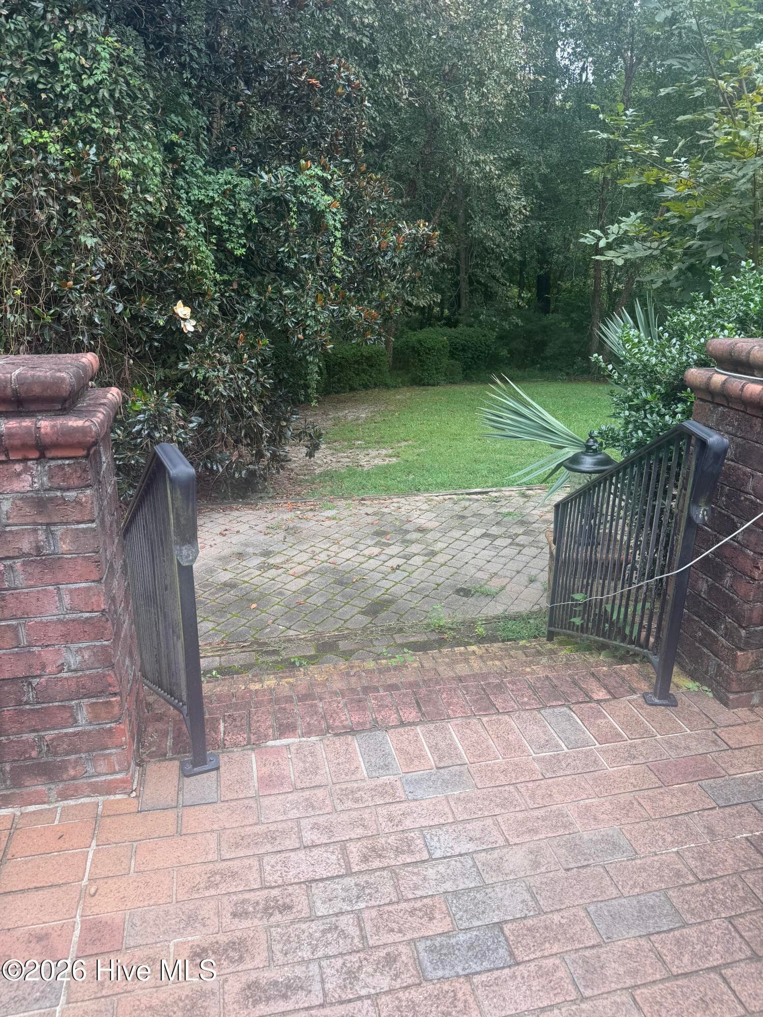 Backyard - 307 Taberna Circle, New Bern, NC 28562