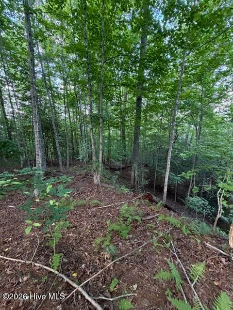 Undeveloped at Lot 59 Quiet Mountain Trail, Murphy, NC 28906, photo 4 of 10