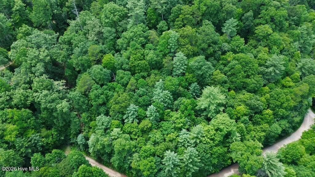 Undeveloped at Lot 59 Quiet Mountain Trail, Murphy, NC 28906, photo 9 of 10