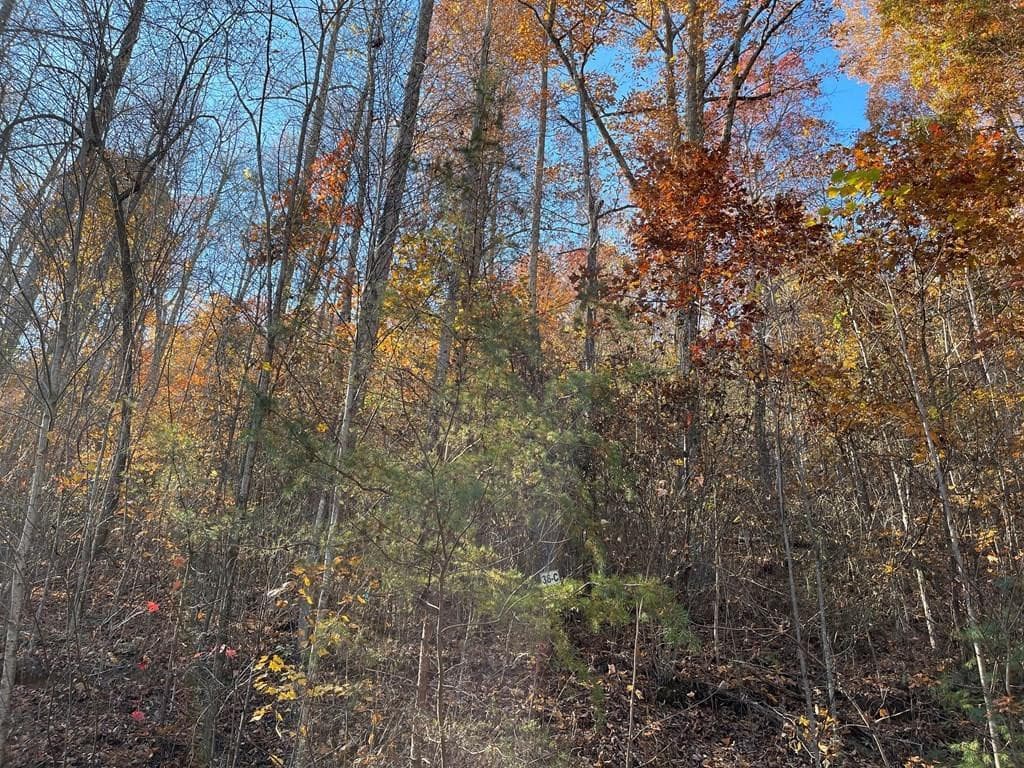 Residential Lot at 36 54c Ash Branch Circle, Hayesville, NC 28904, photo 3 of 5