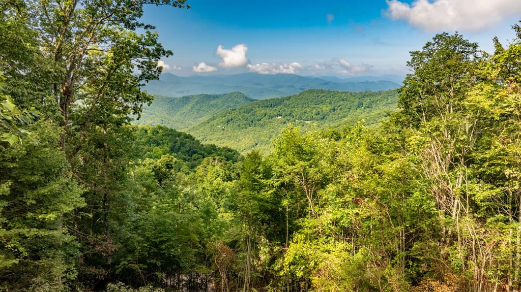 Land at 00 E Alarka Road, Bryson City, NC 28713, photo 18 of 28