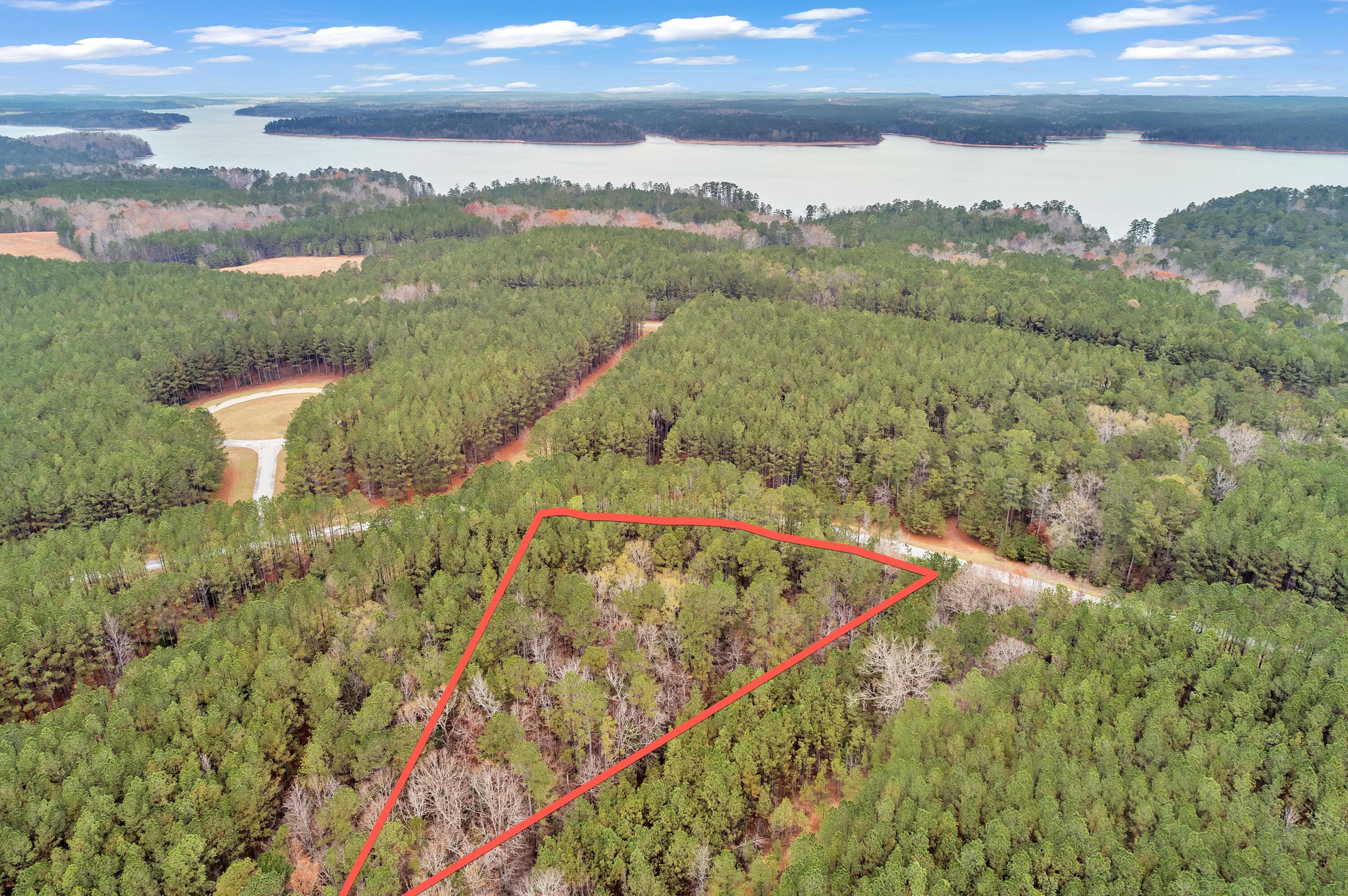Residential Lot at 1252 294 Rogers Road, Tignall, GA 30668, photo 20 of 29