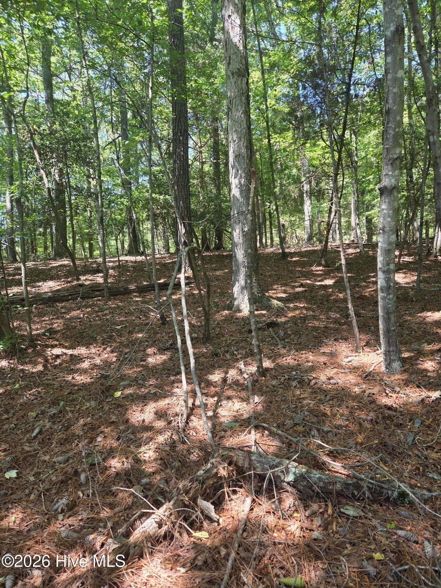 Residential Lot at Lot 45b 45B Appaloosa Lake Drive, Carthage, NC 28327, Carthage, photo 3 of 19