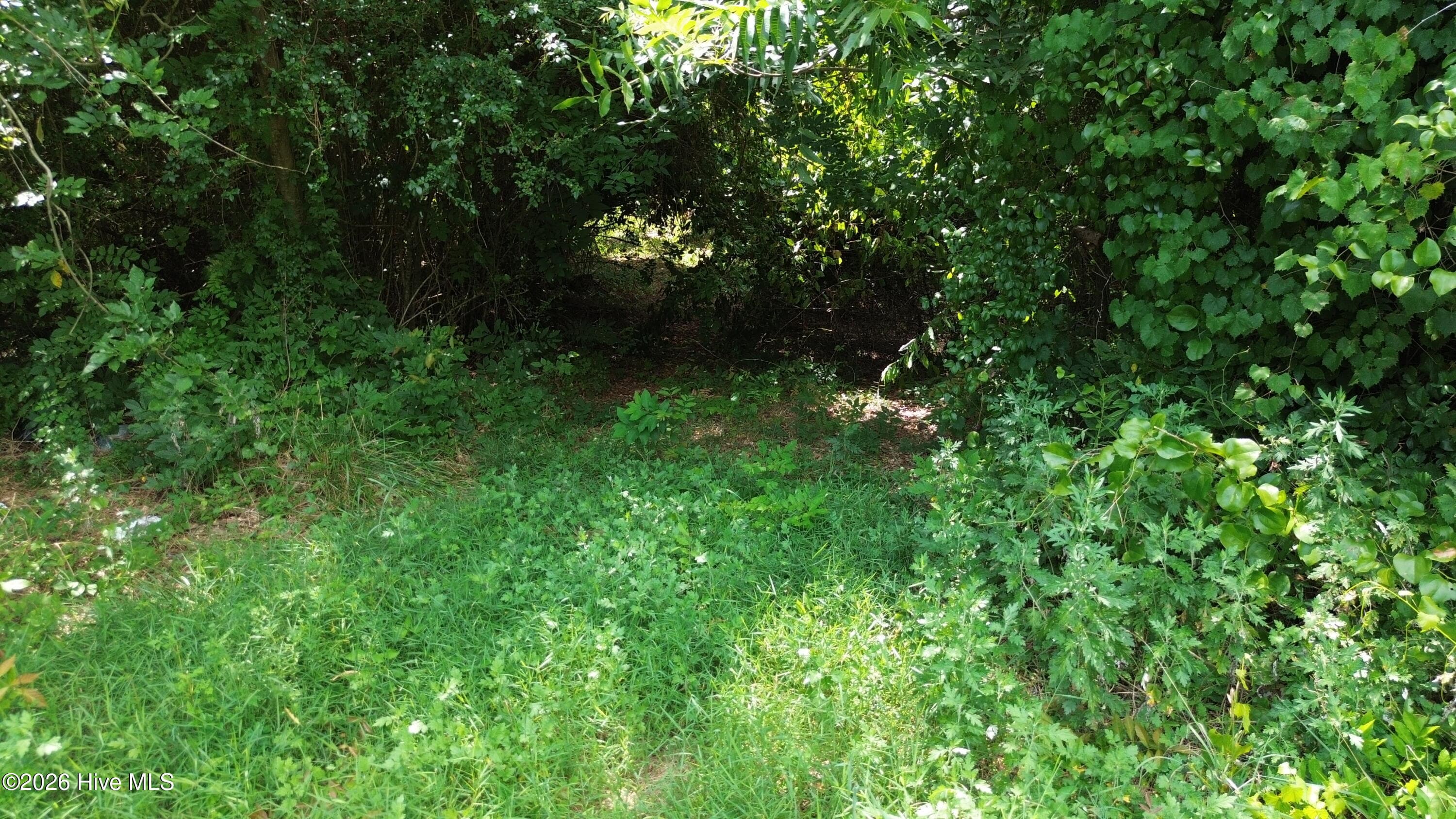 Wooded at Tbd Point Caswell Road, Atkinson, NC 28421, photo 10 of 16