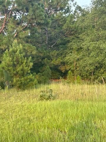 Single Family Residence at 5584 Rosemont Drive, Appling, GA 30802, photo 13 of 14