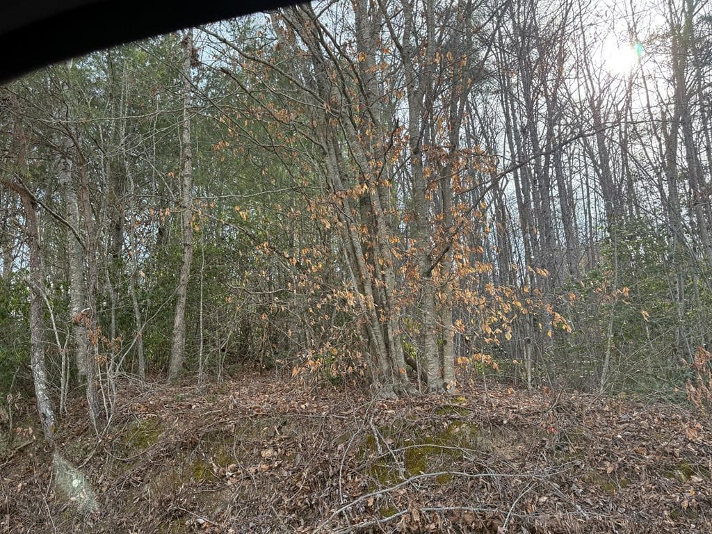 Land at 0 Paradise Street, Murphy, NC 28906, photo 3 of 3