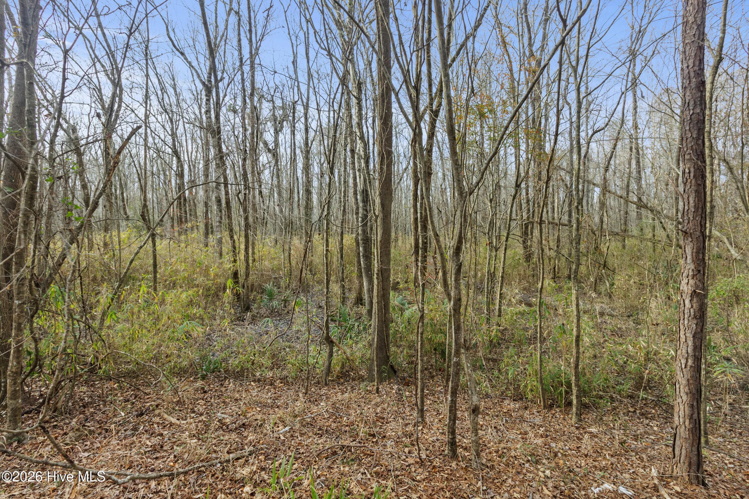 Undeveloped at 2711 Old Airport Road, New Bern, NC 28562, photo 4 of 23