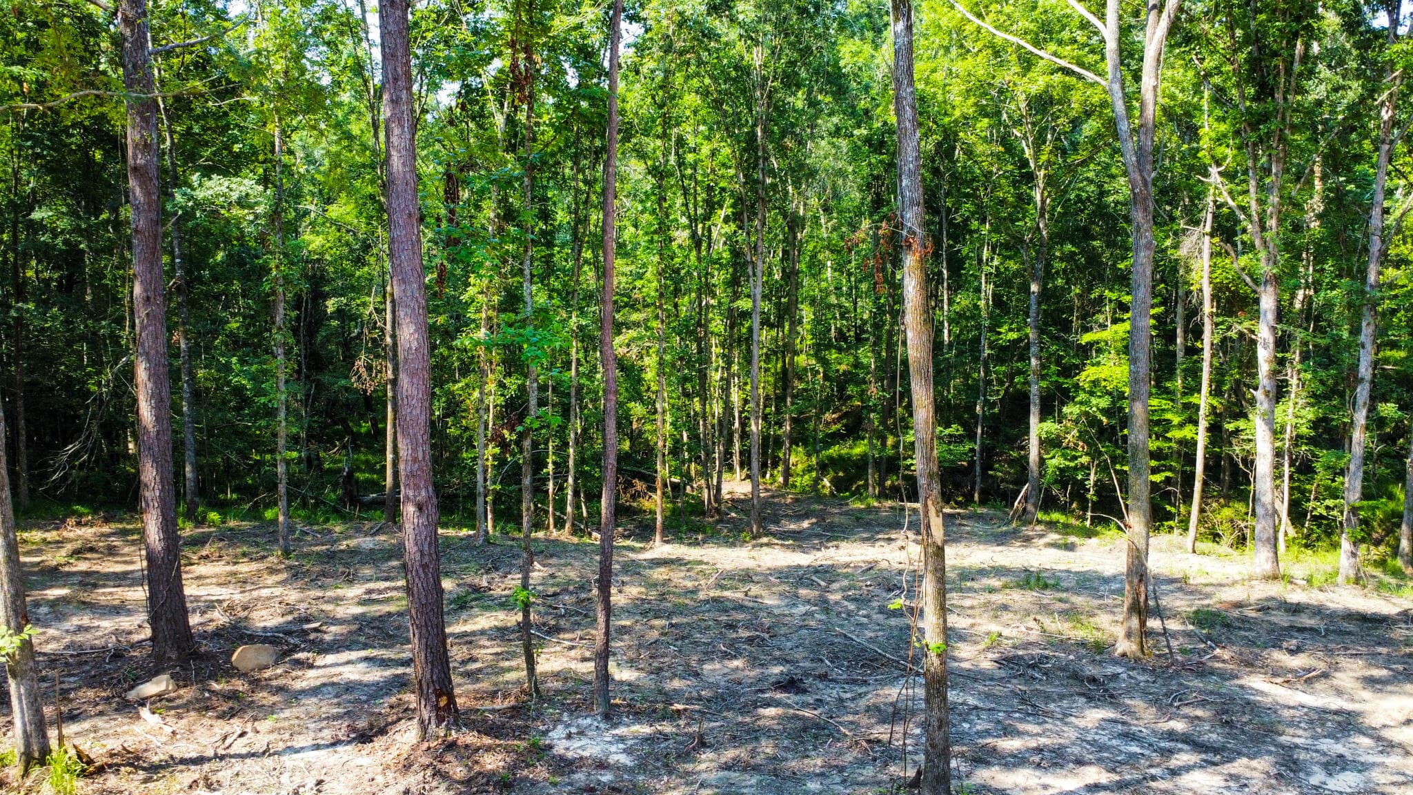 Undeveloped at 0 Backway Road, Lincolnton, GA 30817, photo 34 of 48