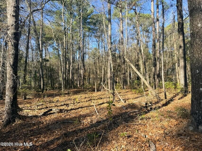 Residential Lot at Lot 4 Peach Court, Burgaw, NC 28425, photo 3 of 8