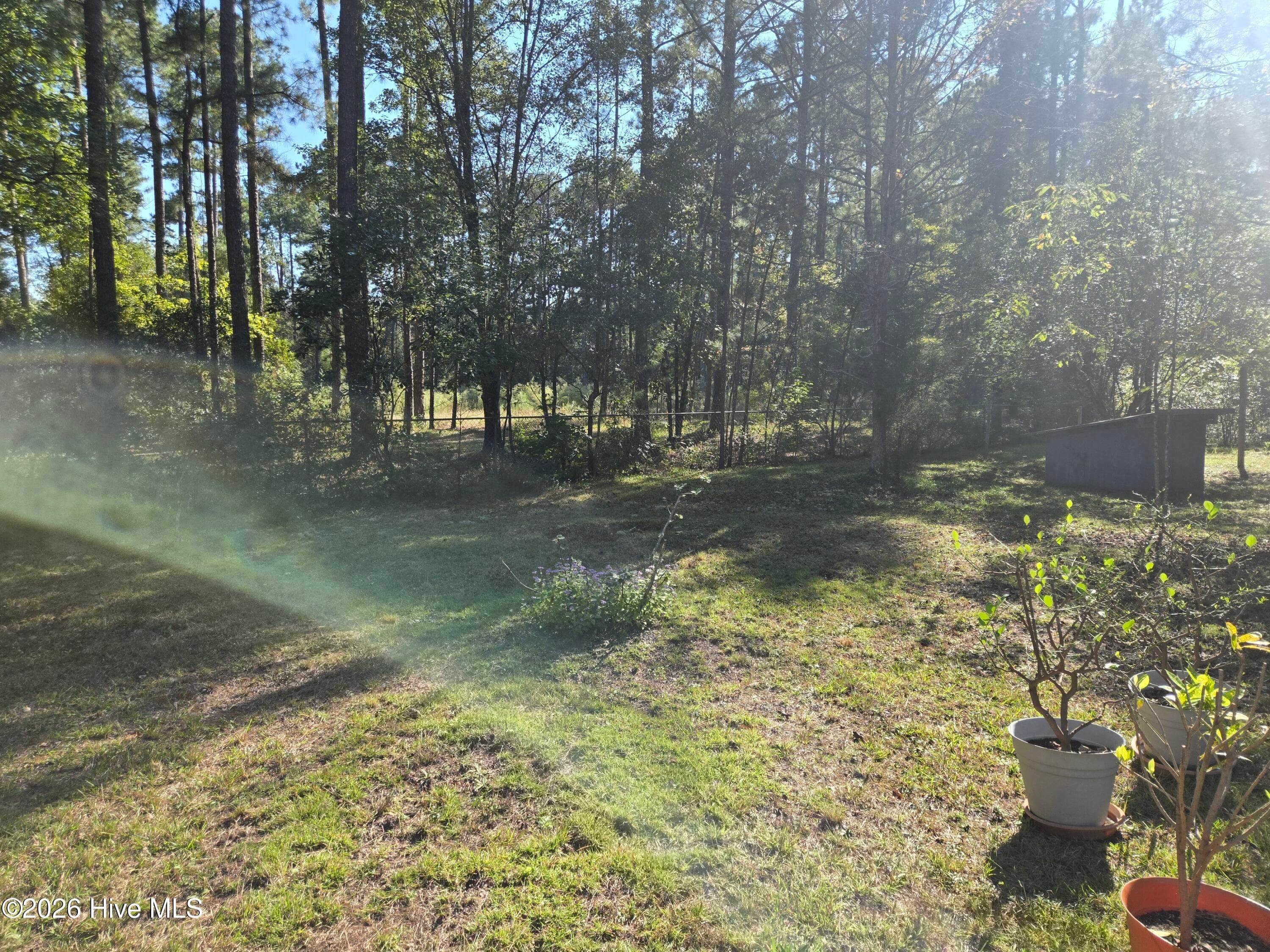 Big Fenced in Yard surrounded by trees. Lots of Privacy! - 295 Gold Finch Lane, New Bern, NC 28560