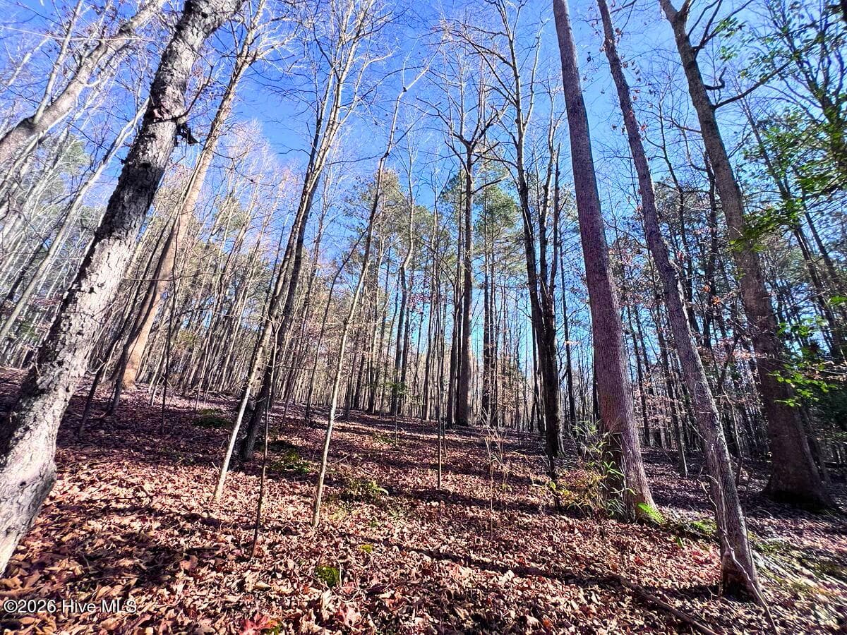 Residential Land at 0 Nc 98 Highway, Spring Hope, NC 27882, photo 37 of 39