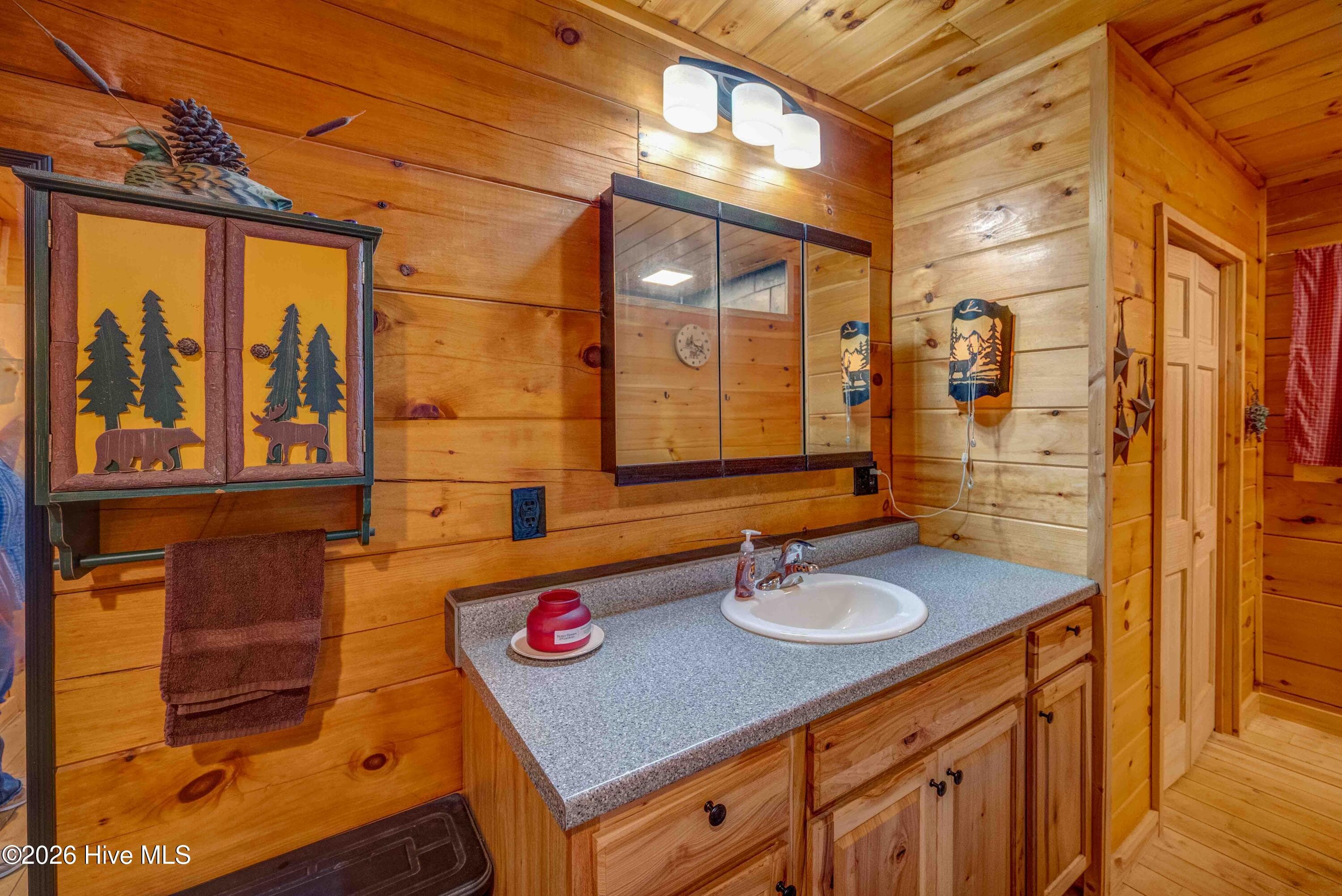 Single Family Residence at 265 Pleasant Hill Road, Murphy, NC 28906, photo 6 of 76