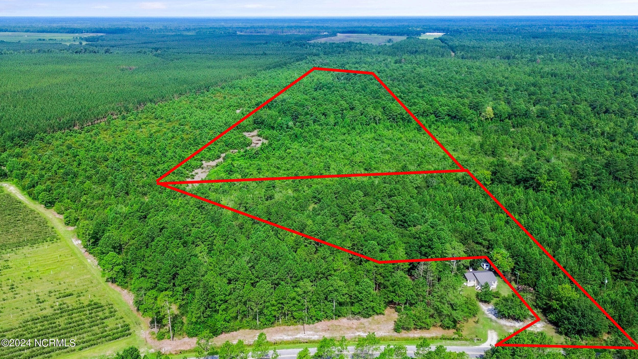1 Lizzie Henry Road, Ivanhoe, NC 28447