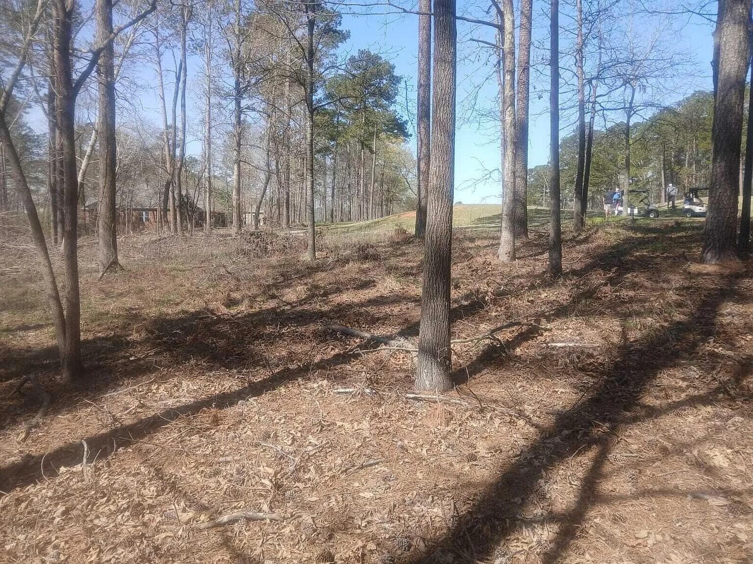 Residential Lot at 19 Belfast Court, North Augusta, SC 29860, photo 7 of 7